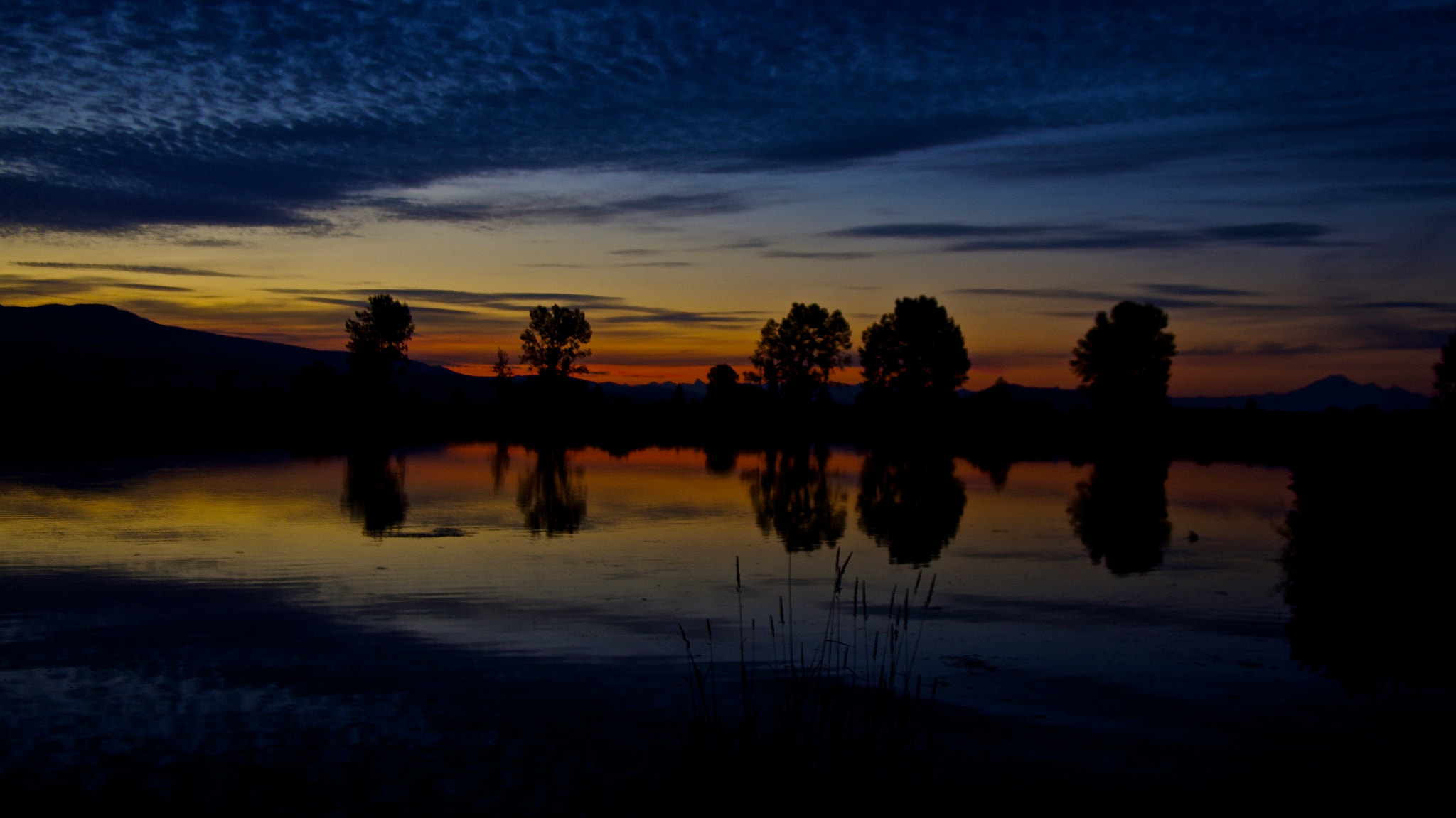 Pentax smc DA 16-45mm F4 ED AL sample photo. First blush photography