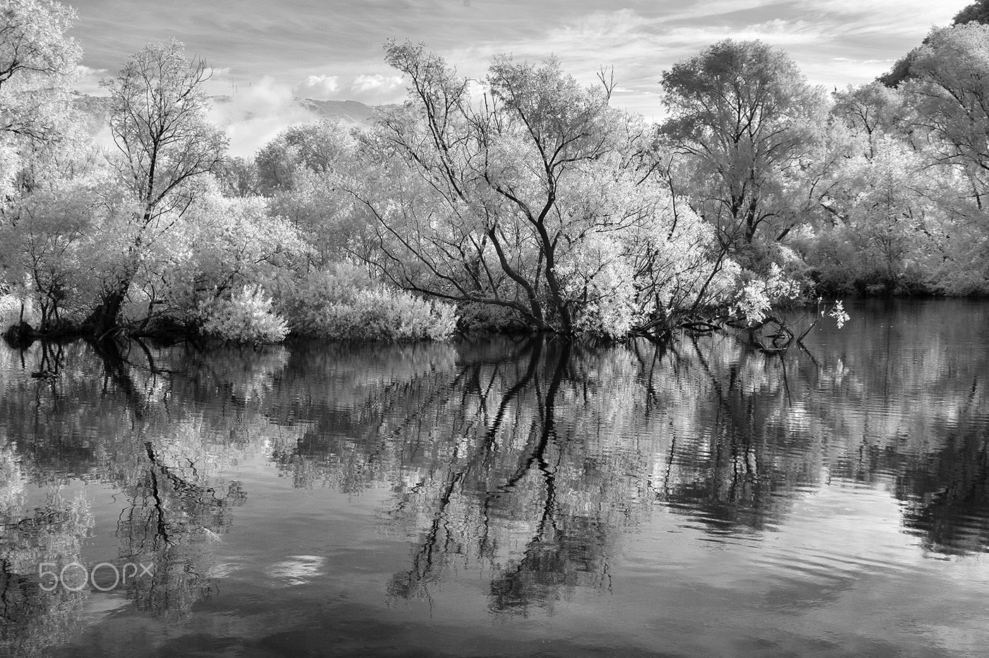 Nikon D70s sample photo. Adda photography