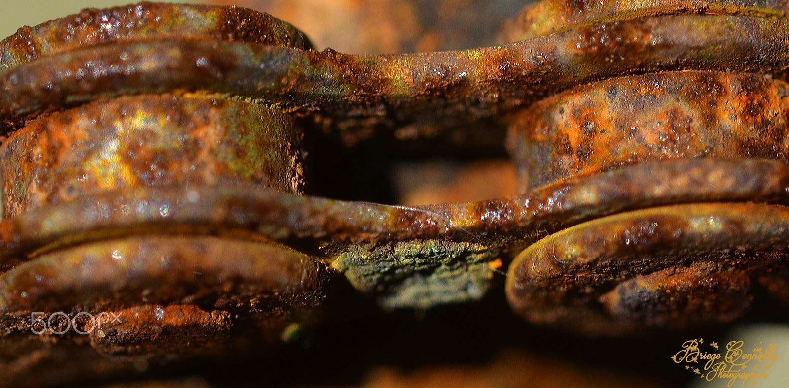 Nikon AF-S Micro-Nikkor 60mm F2.8G ED sample photo. The rusty bicycle chain photography
