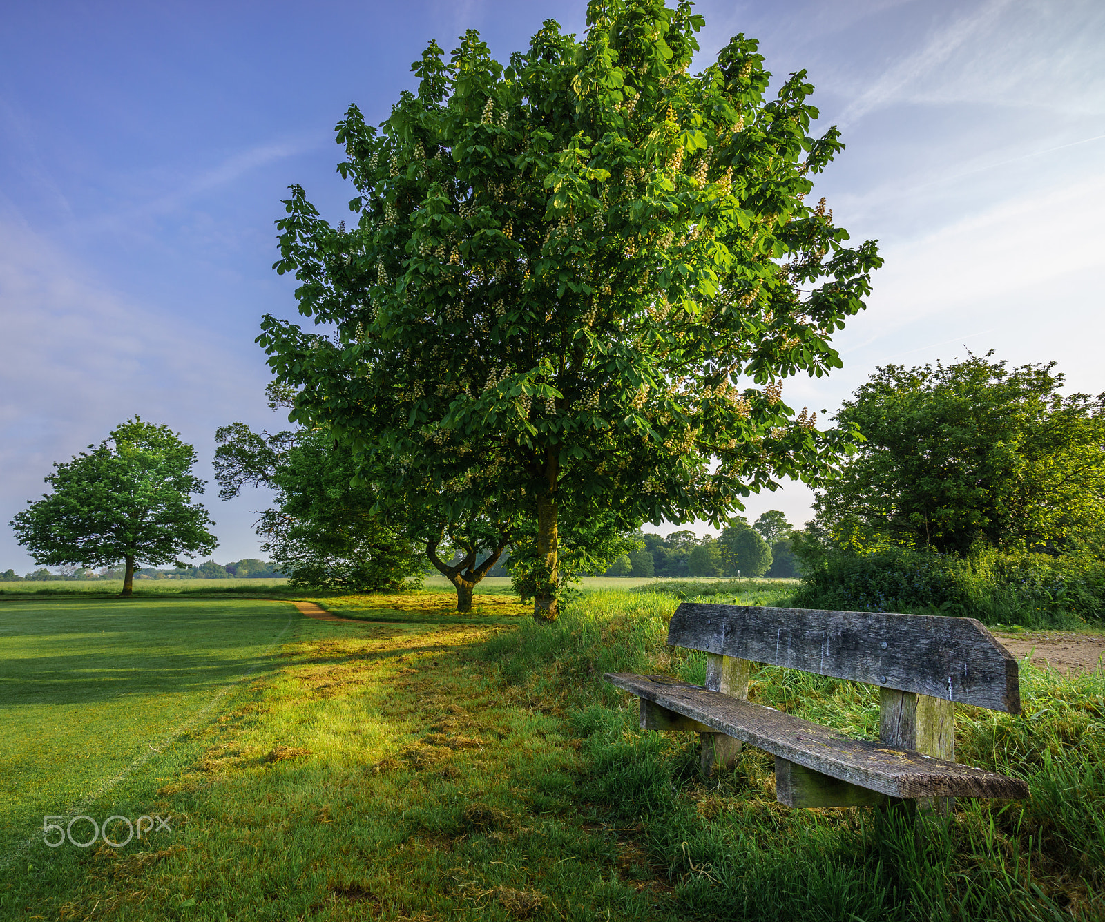 Sony a7R + Sony E 10-18mm F4 OSS sample photo. Pinkneys green bench photography