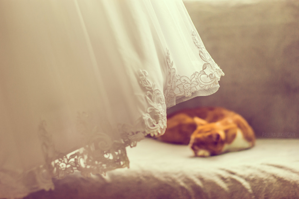 Sony 50mm F1.4 sample photo. Wedding day photography