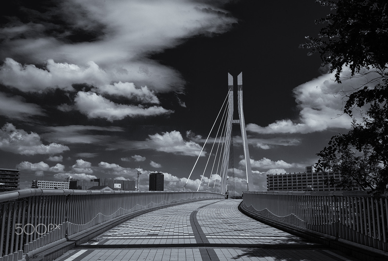 Leica Elmar-M 24mm F3.8 ASPH sample photo. 夏空 ... summer sky photography