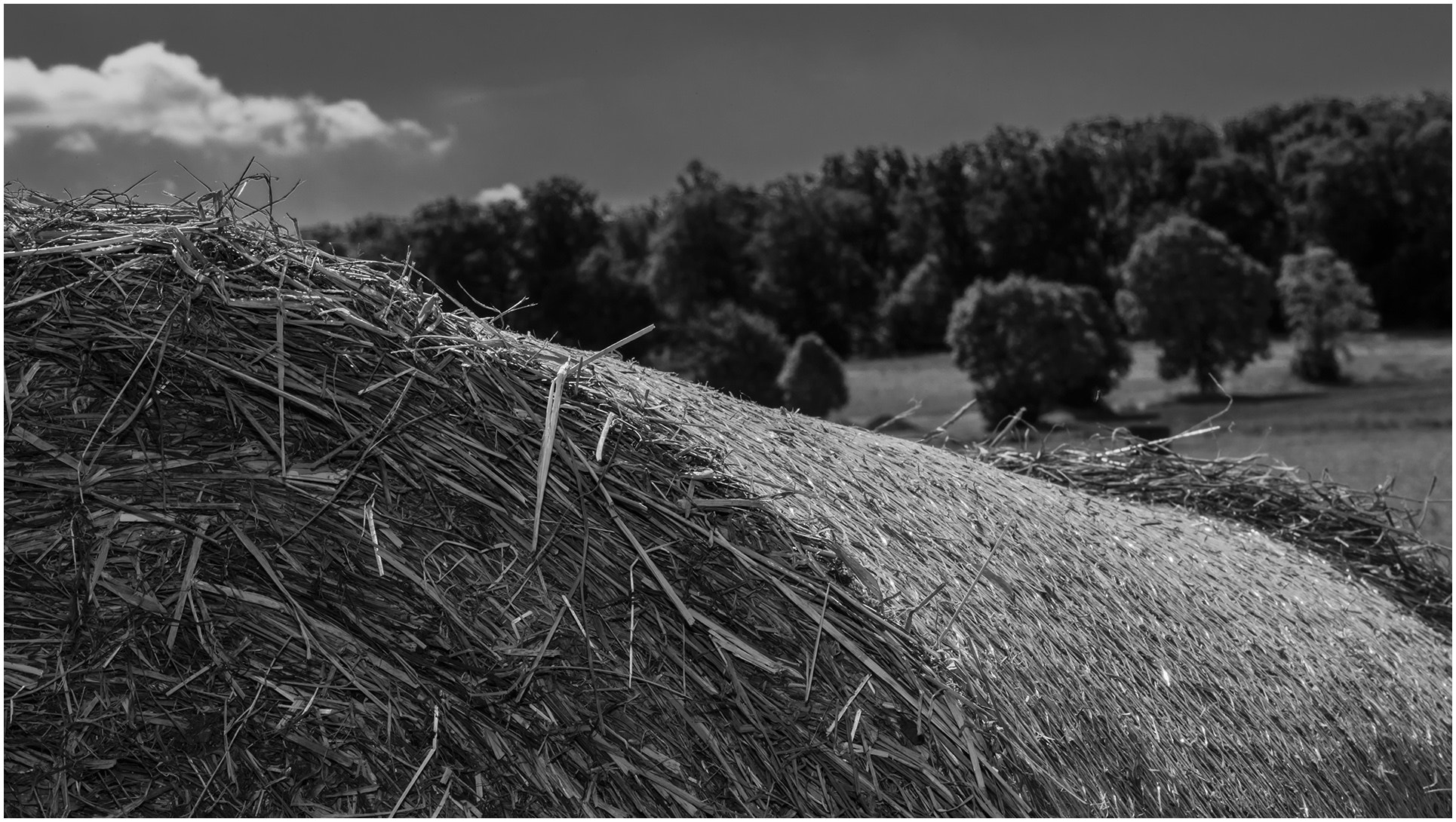 Canon EF 100mm F2.8L Macro IS USM sample photo. Haymaking season photography