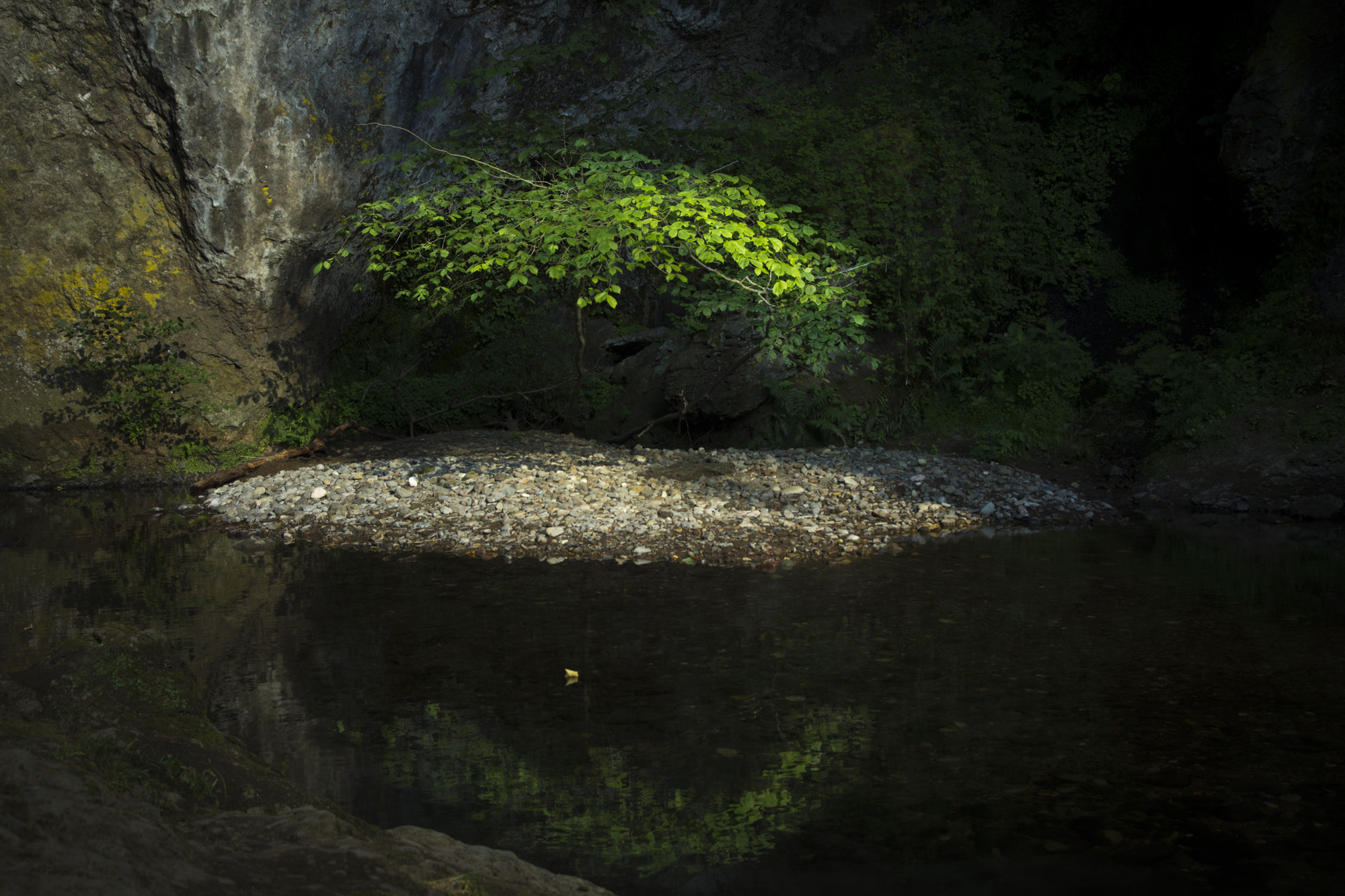 Canon EOS 60D + Sigma 18-50mm f/2.8 Macro sample photo. Le dernier rayon photography