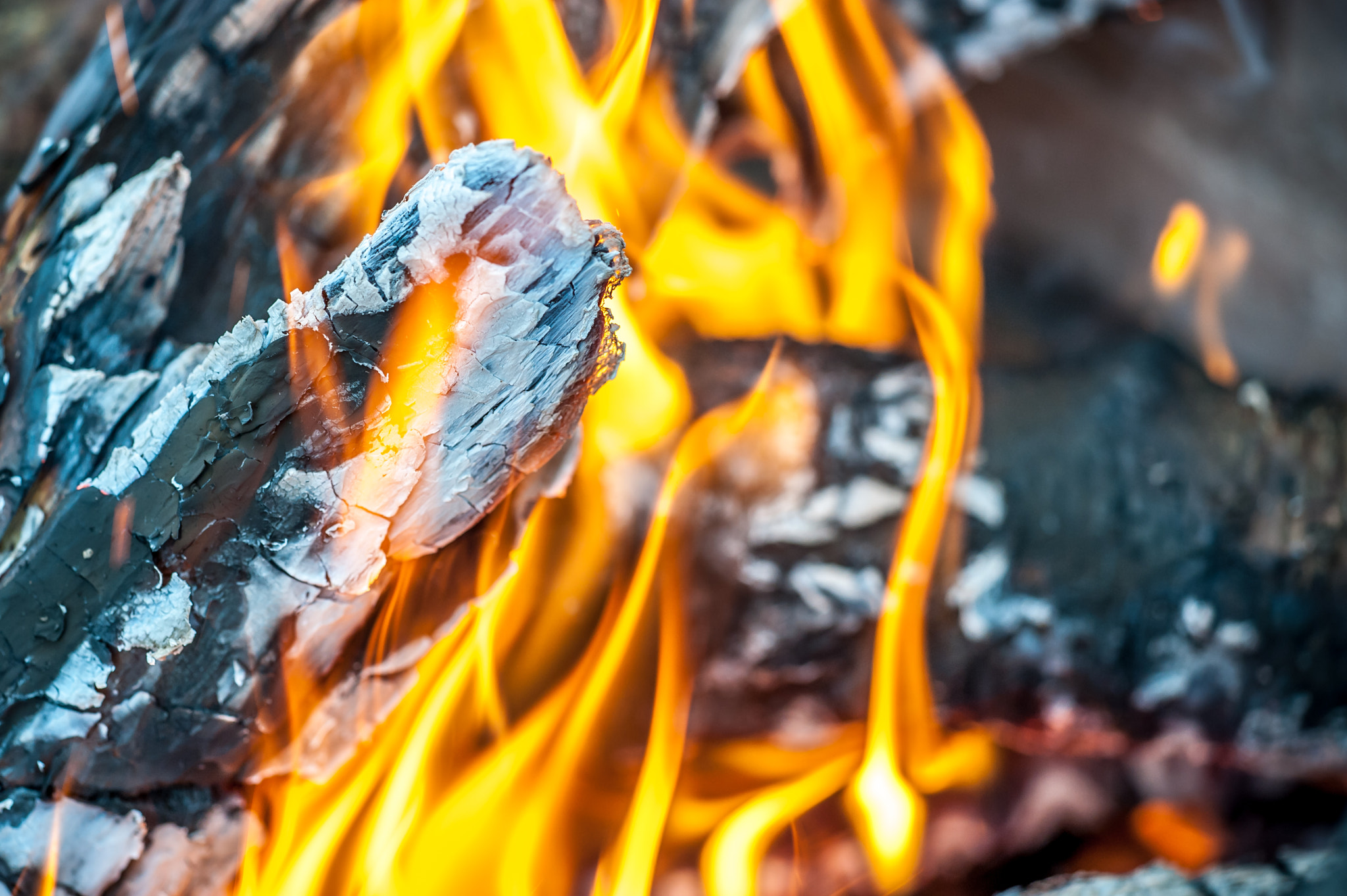 Sigma 150mm F2.8 EX DG Macro HSM sample photo. Camp fire photography