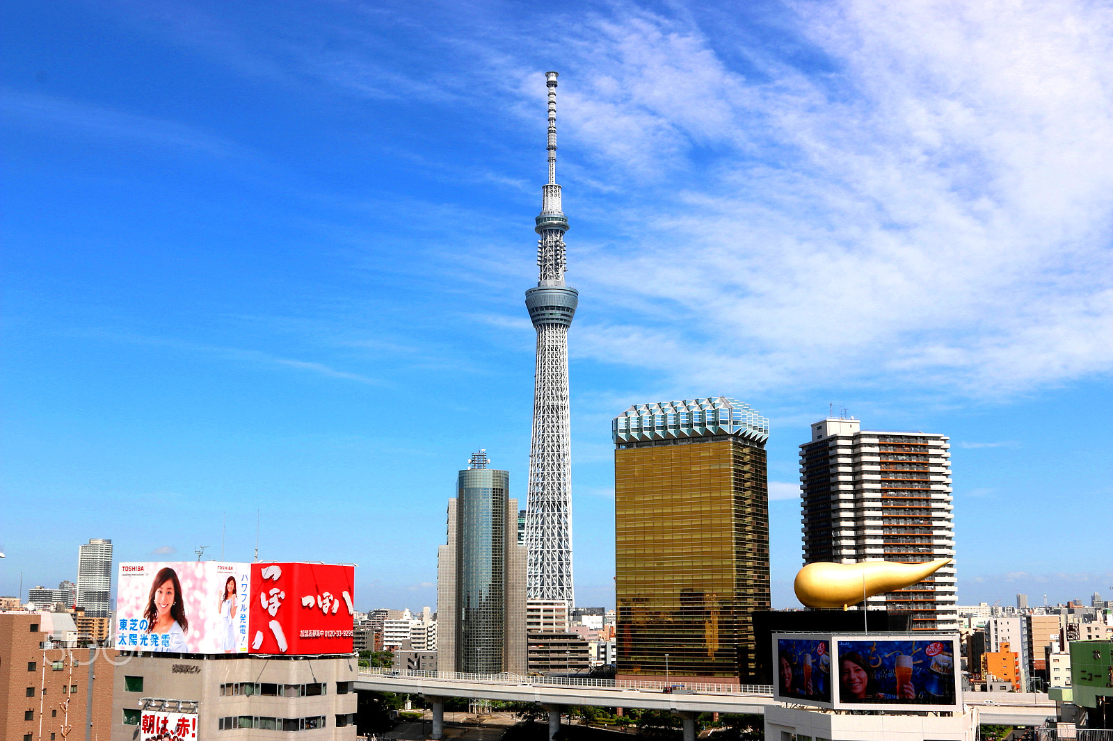 Canon EF 24-105mm F4L IS USM sample photo. Tokyo tower photography