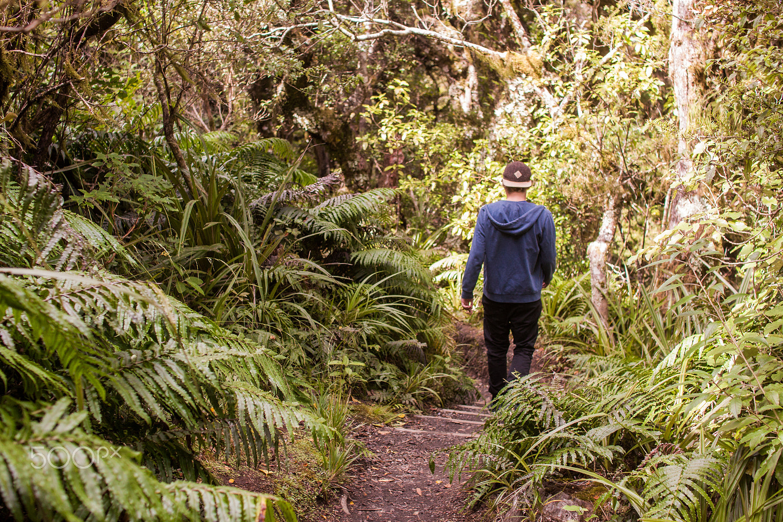Sigma 30mm F1.4 EX DC HSM sample photo. Egmont national park photography