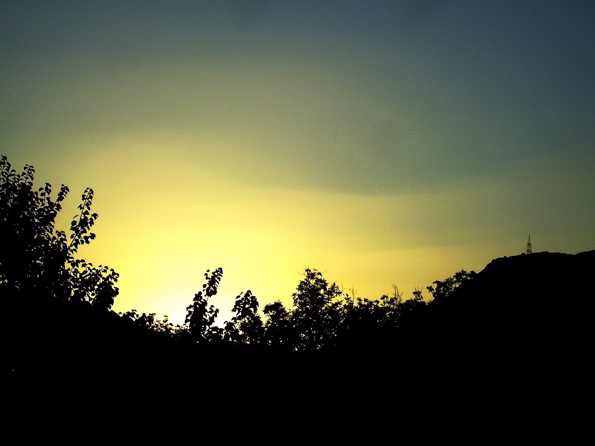 DIGITAL CAM sample photo. Digital camera photography