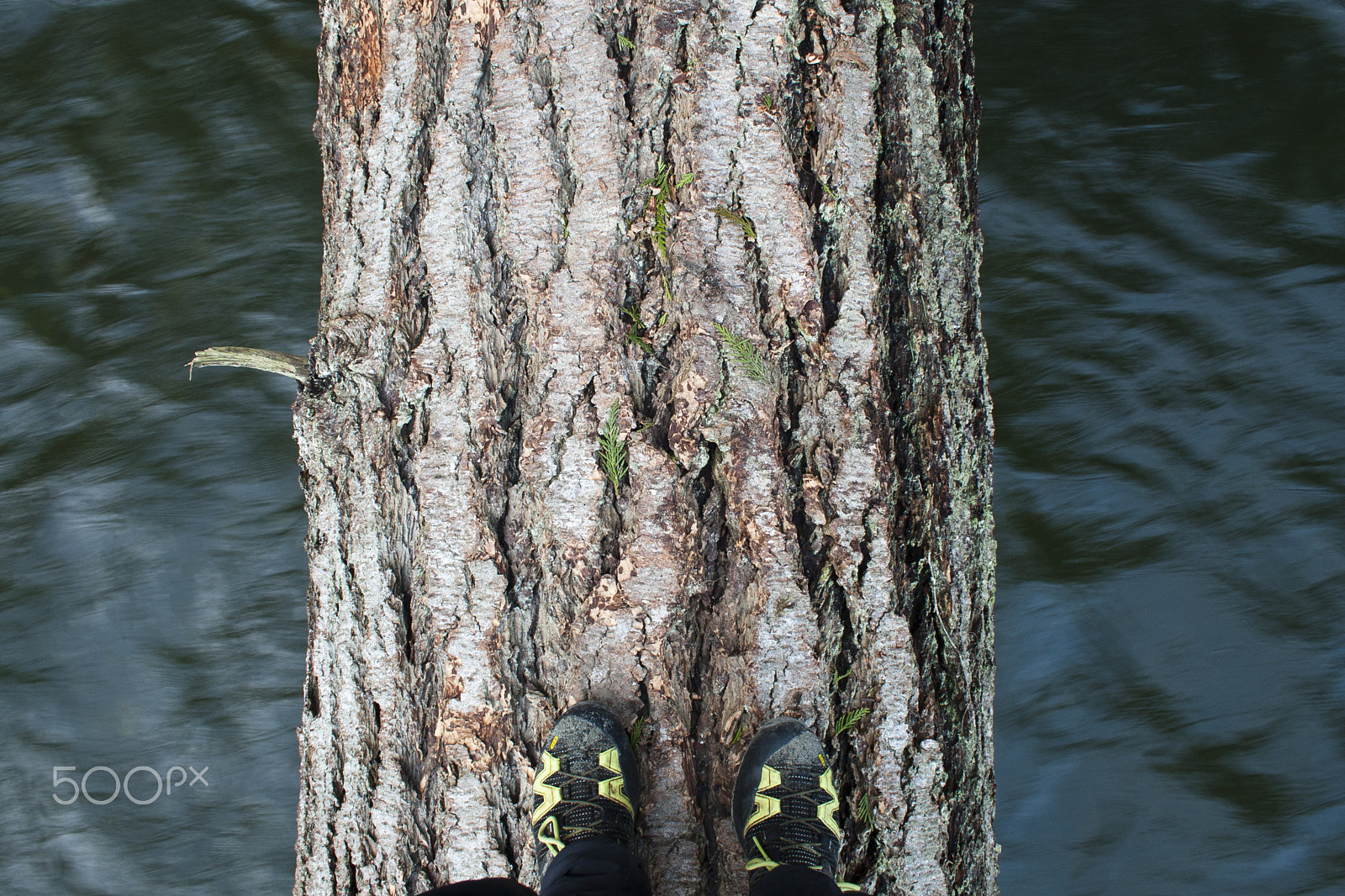 Canon EOS 30D sample photo. Wild illusion photography