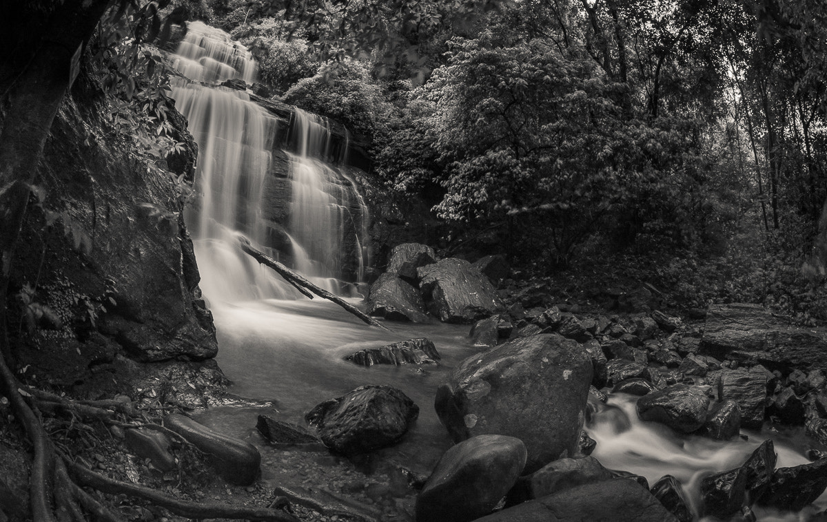 Nikon D810 + Sigma 15mm F2.8 EX DG Diagonal Fisheye sample photo. Monsoon photography