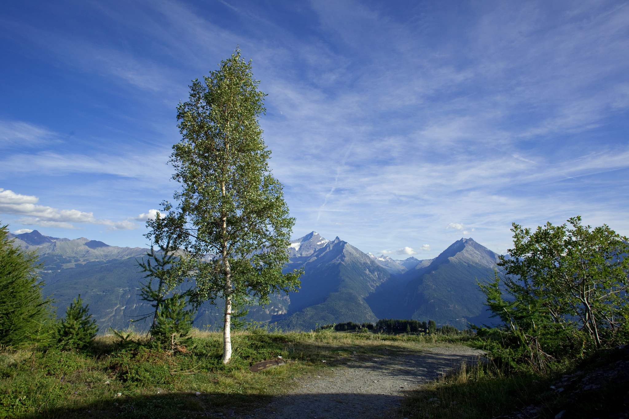 Canon EF 20mm F2.8 USM sample photo. Trees and sky photography