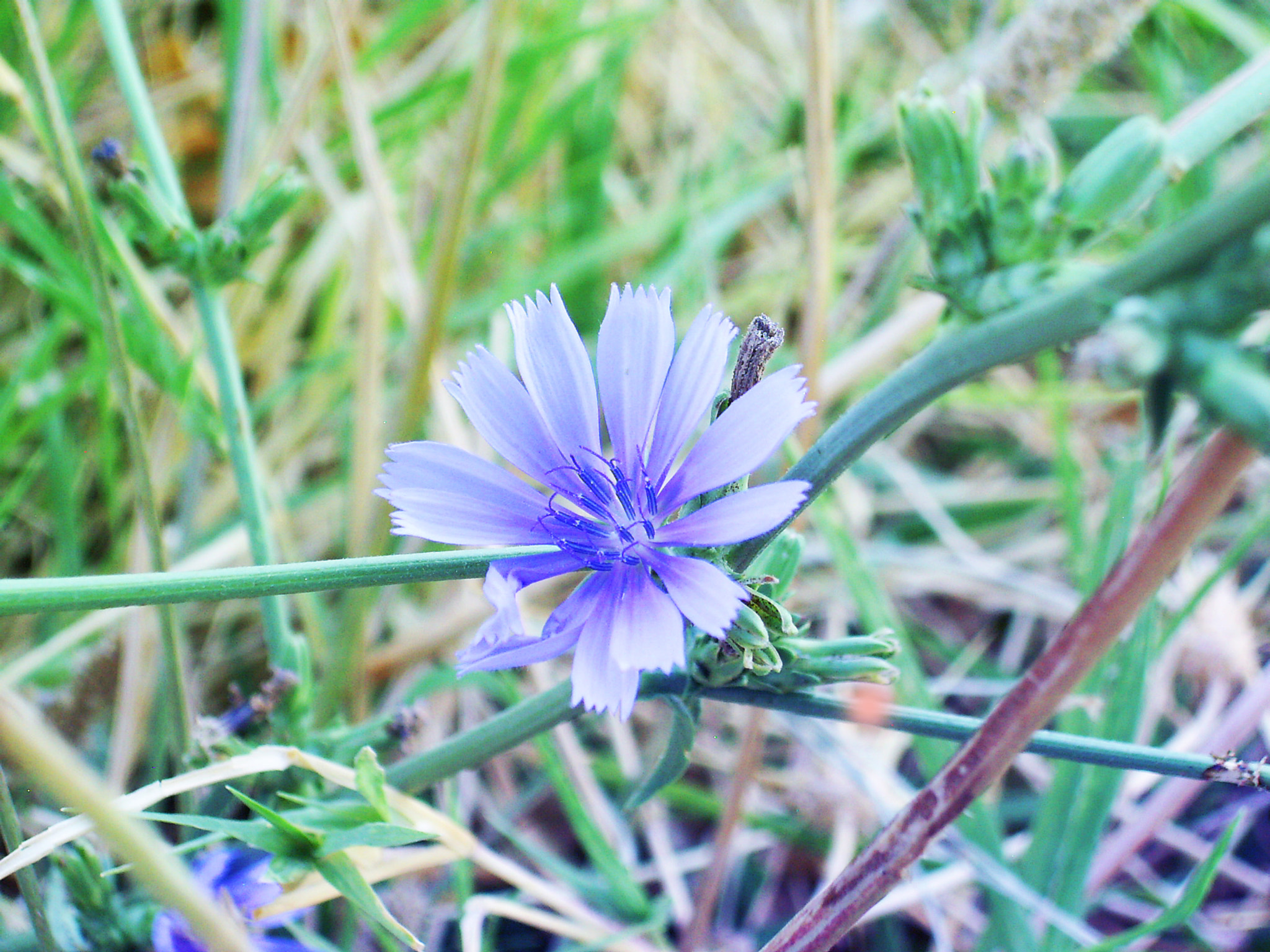 DIGITAL CAM sample photo. Digital camera photography