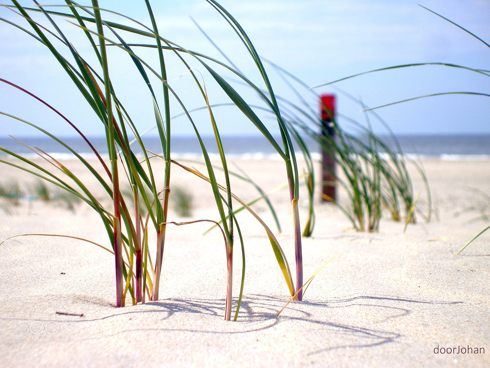 Olympus SP350 sample photo. On the beach photography