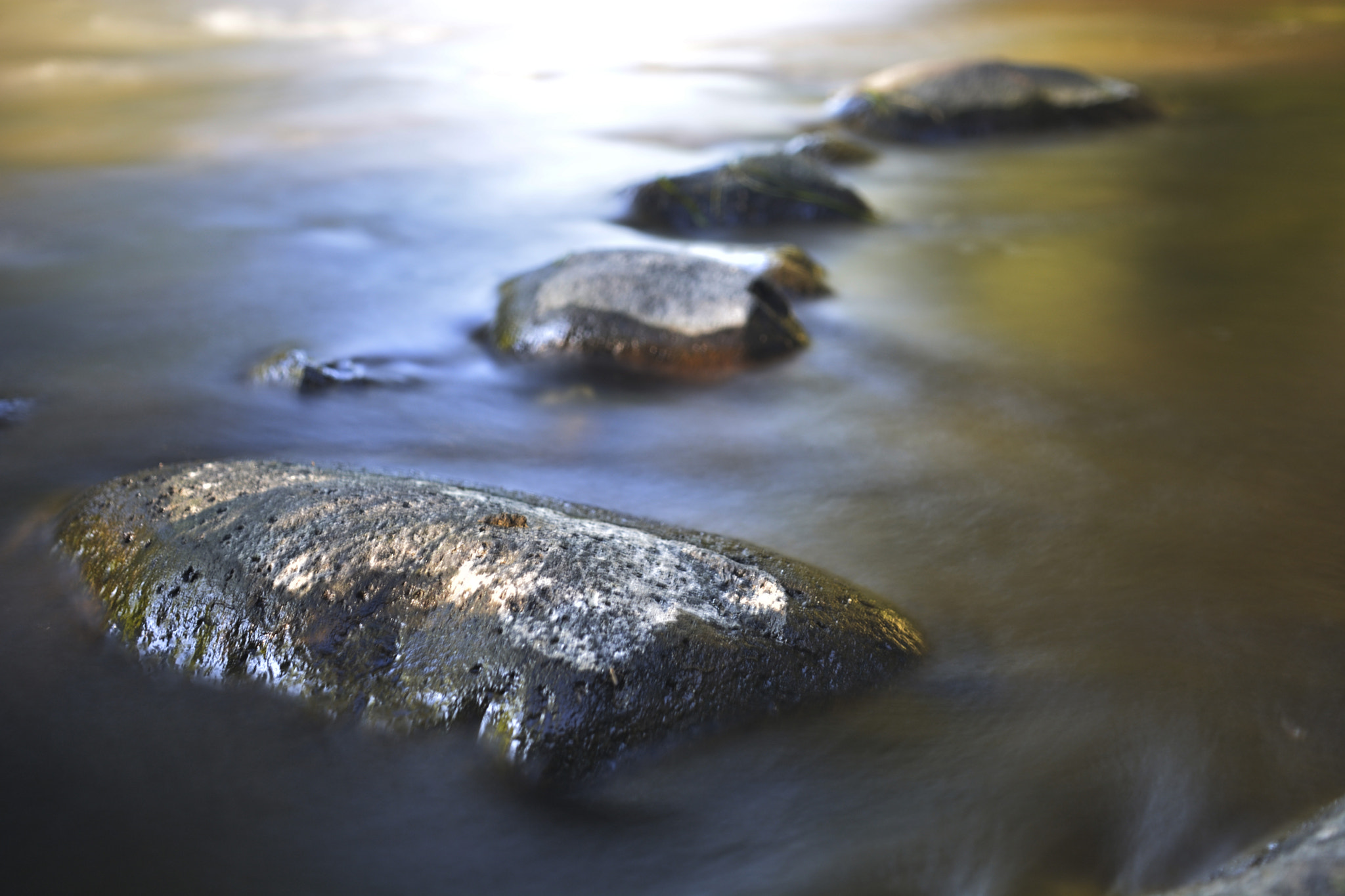 Nikon D5200 + Sigma 18-50mm F2.8-4.5 DC OS HSM sample photo. Sun bath photography