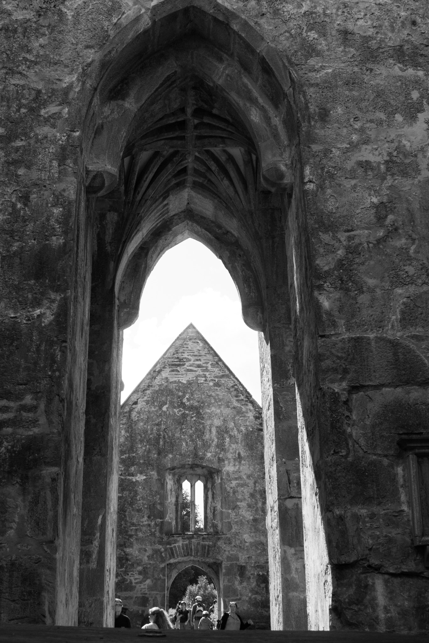Canon EOS 450D (EOS Rebel XSi / EOS Kiss X2) sample photo. Bw muckross abbey photography
