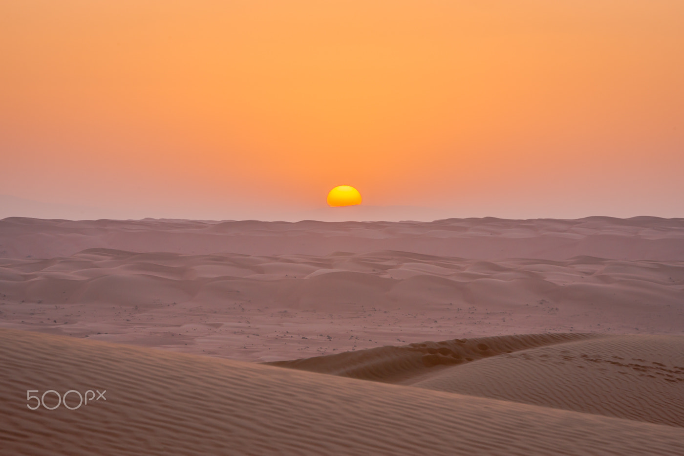 Sony a99 II + Minolta/Sony AF 70-200mm F2.8 G sample photo. Oman photography