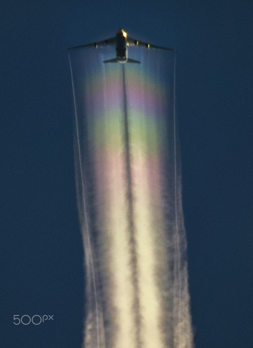 Canon EF 800mm F5.6L IS USM sample photo