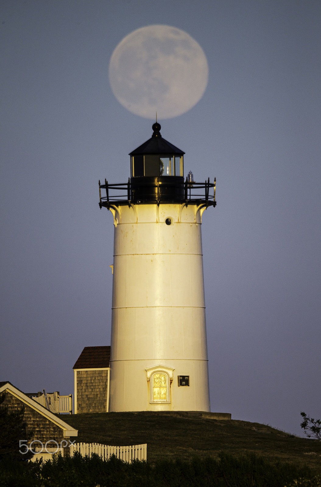 Canon EF 800mm F5.6L IS USM sample photo. P photography