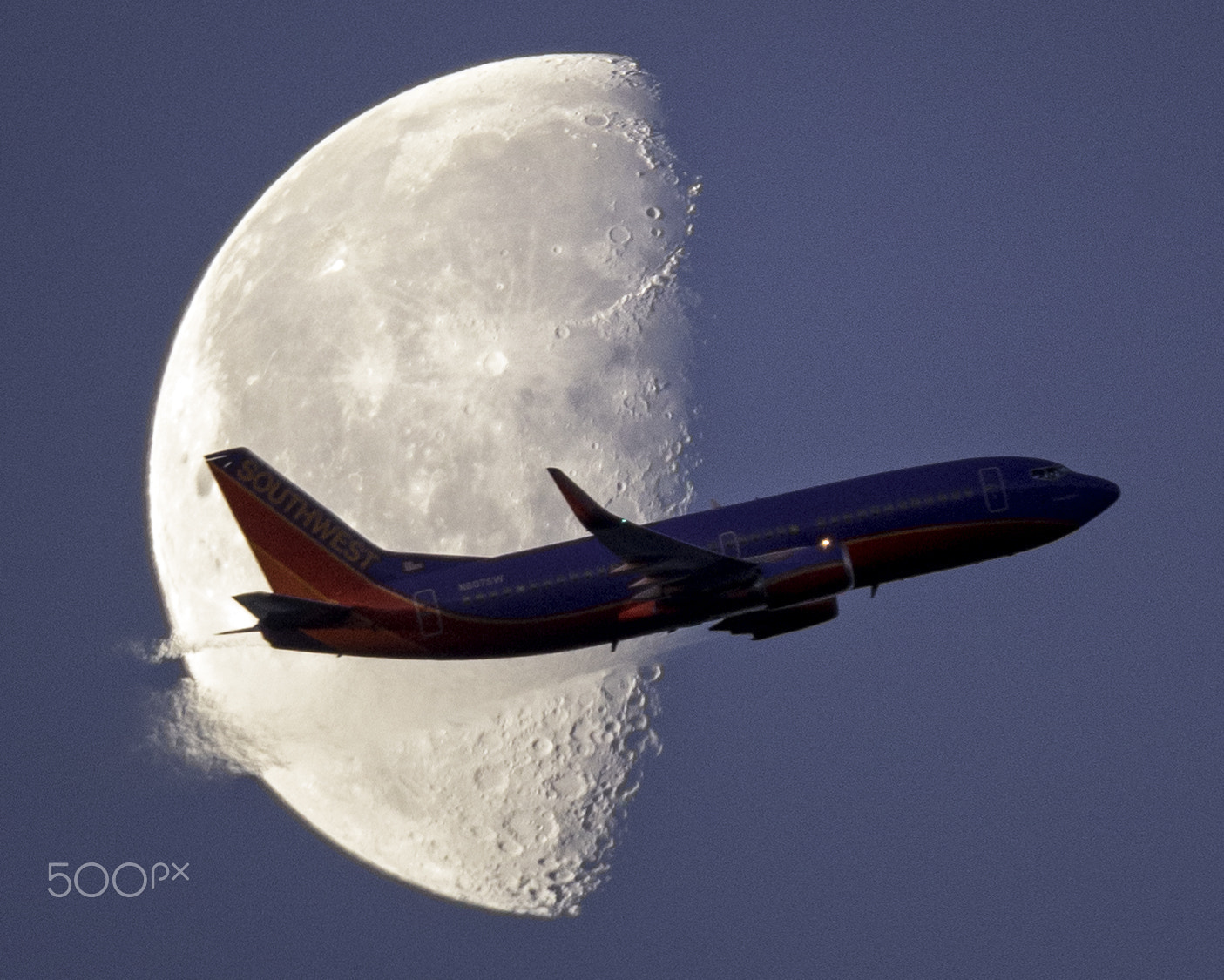 Canon EF 800mm F5.6L IS USM sample photo