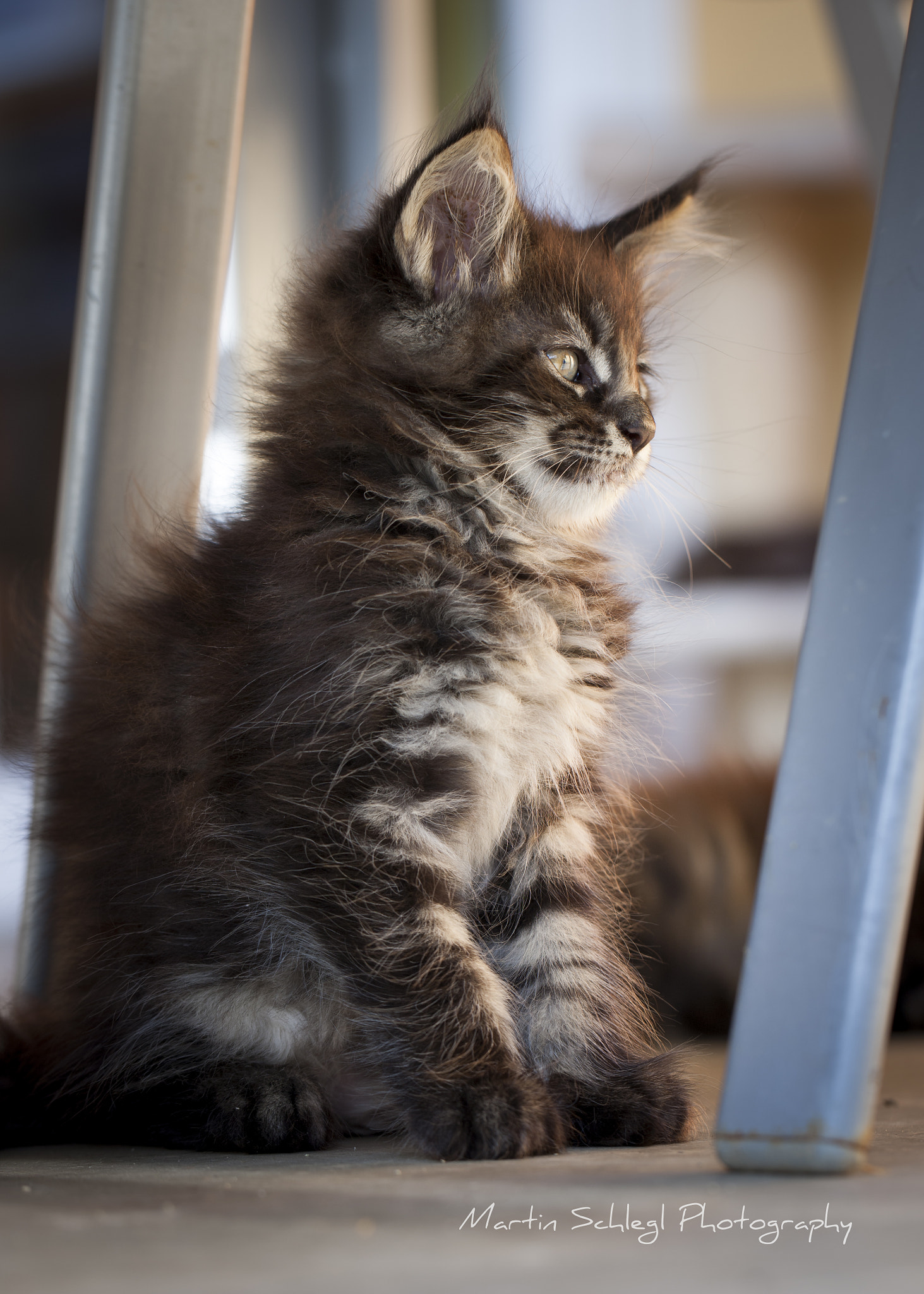 Canon EOS-1Ds Mark III sample photo. Avalon by corpupaw <3 photography