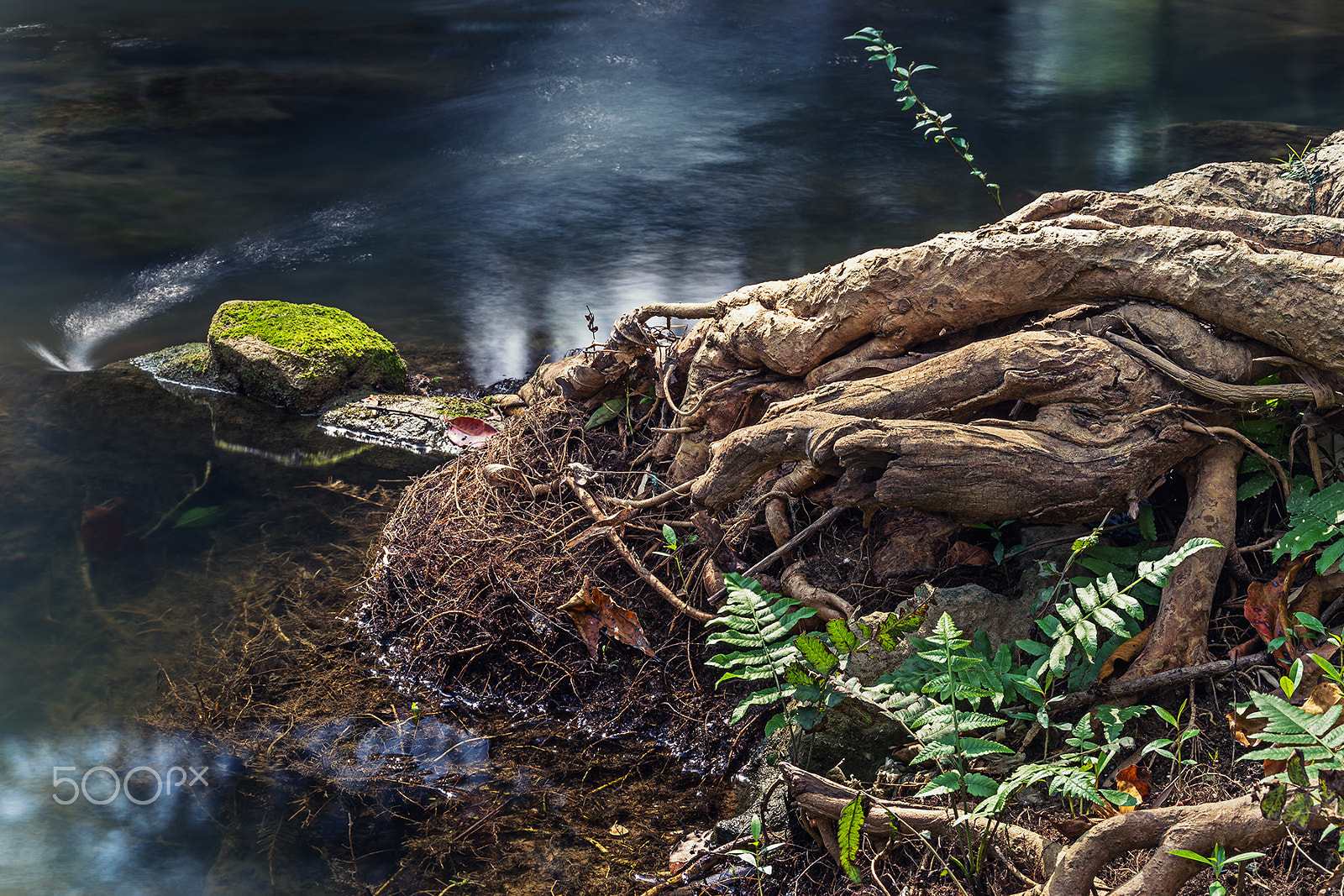 Sony a99 II + Minolta/Sony AF 70-200mm F2.8 G sample photo. Silent stream photography