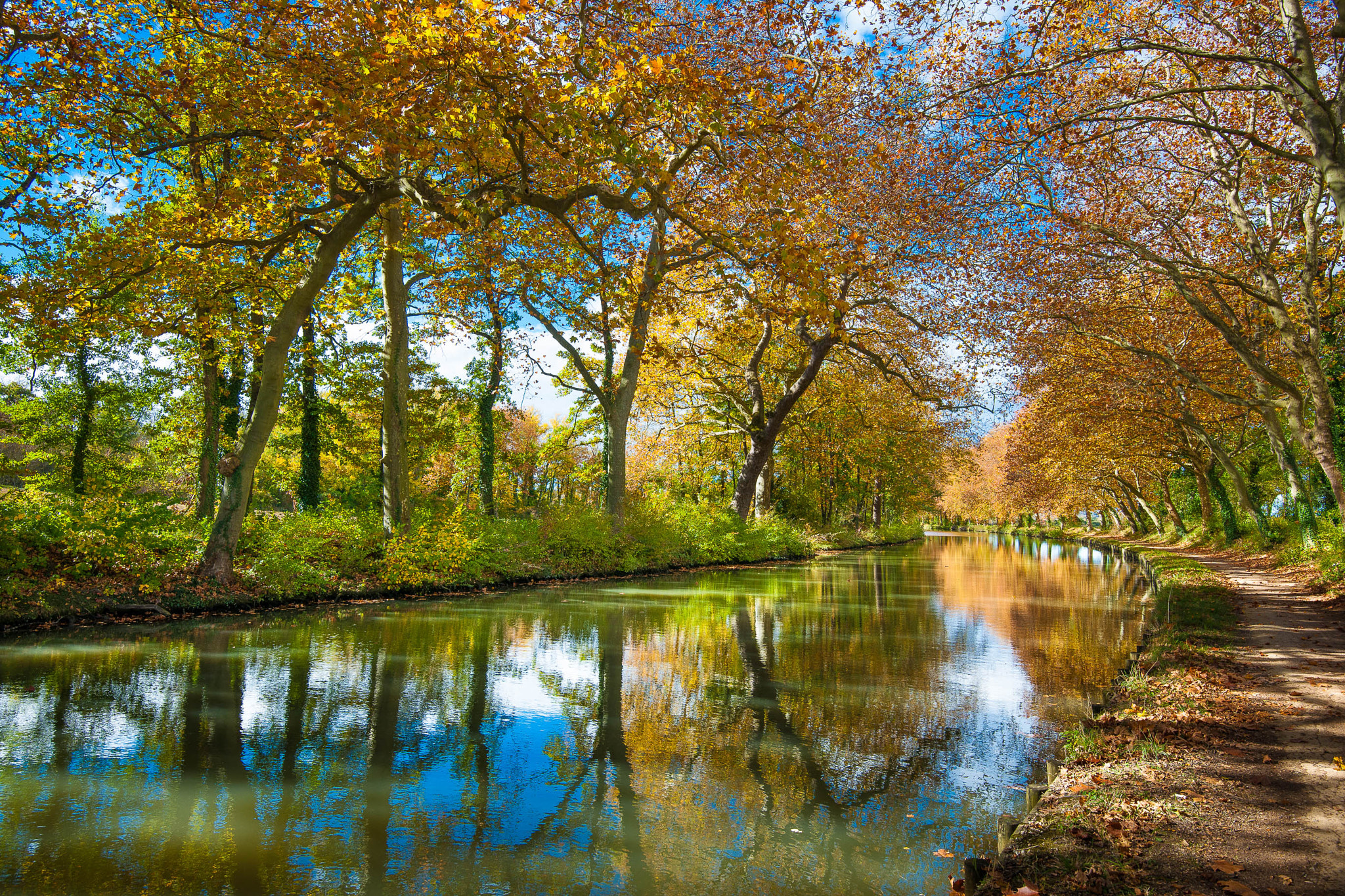 Nikon D3X sample photo. Autumn on the canal du midi photography