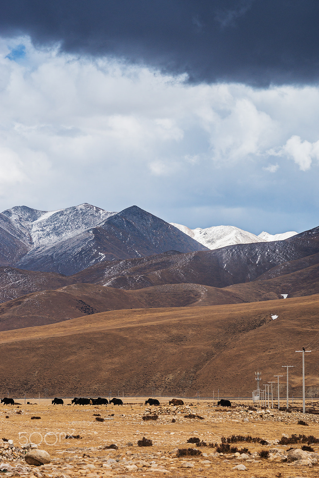 Sony a99 II + Minolta/Sony AF 70-200mm F2.8 G sample photo. On the plateau photography