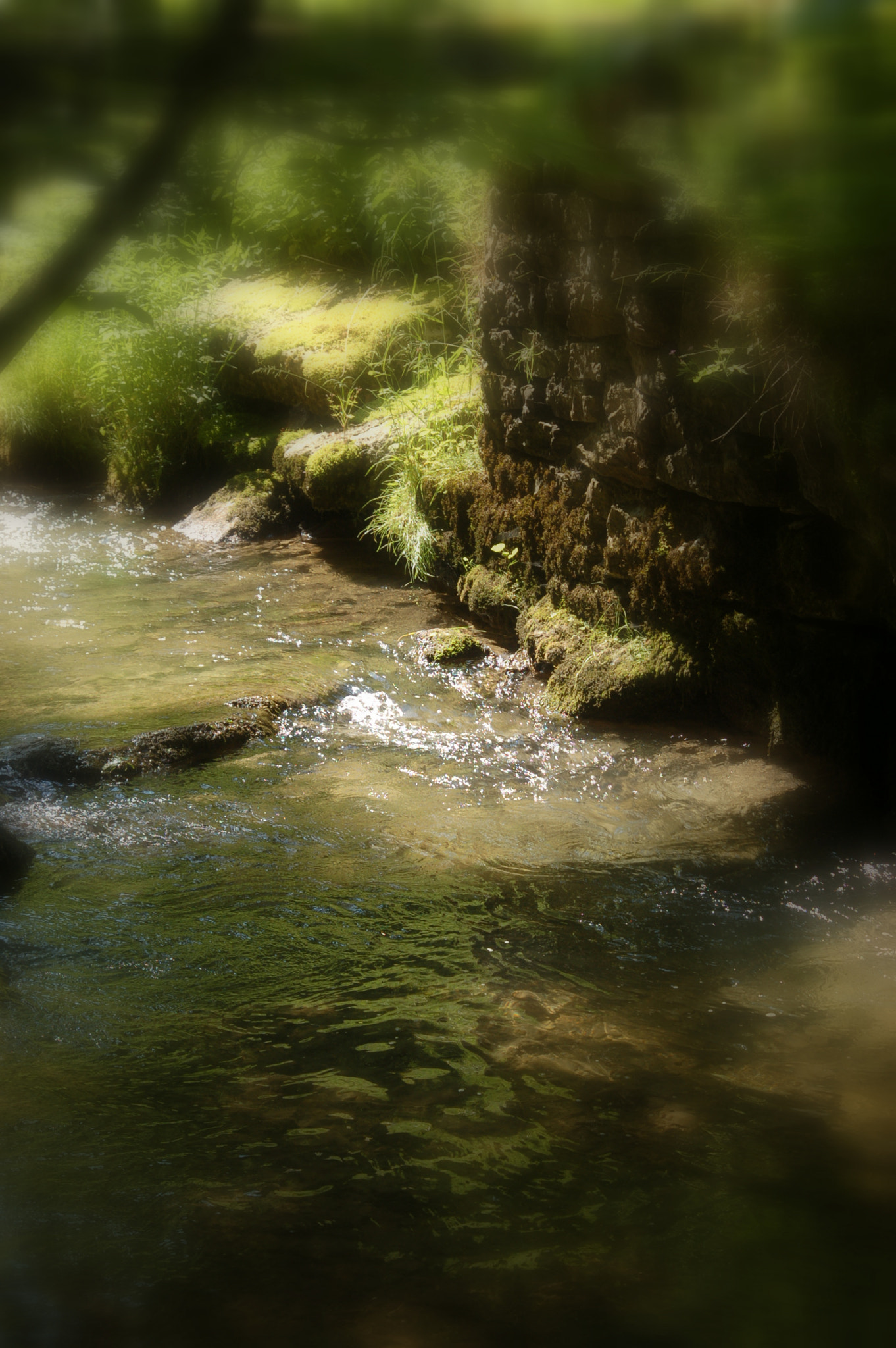 Nikon D50 sample photo. In a dream... photography