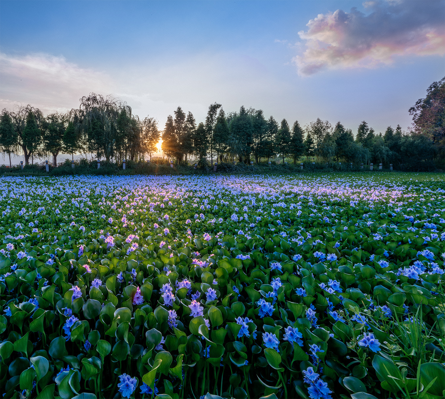 HD Pentax-DA645 28-45mm F4.5ED AW SR sample photo. Pano photography