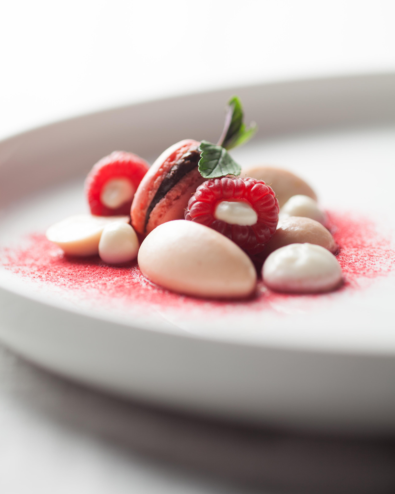 Canon EF 100mm F2.8 Macro USM sample photo. Raspberry photography