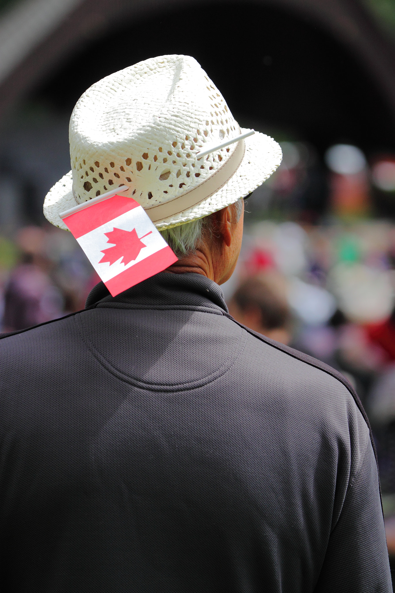 Canon EOS 500D (EOS Rebel T1i / EOS Kiss X3) + Canon EF 100-400mm F4.5-5.6L IS USM sample photo. Canada day in prince george, bc photography