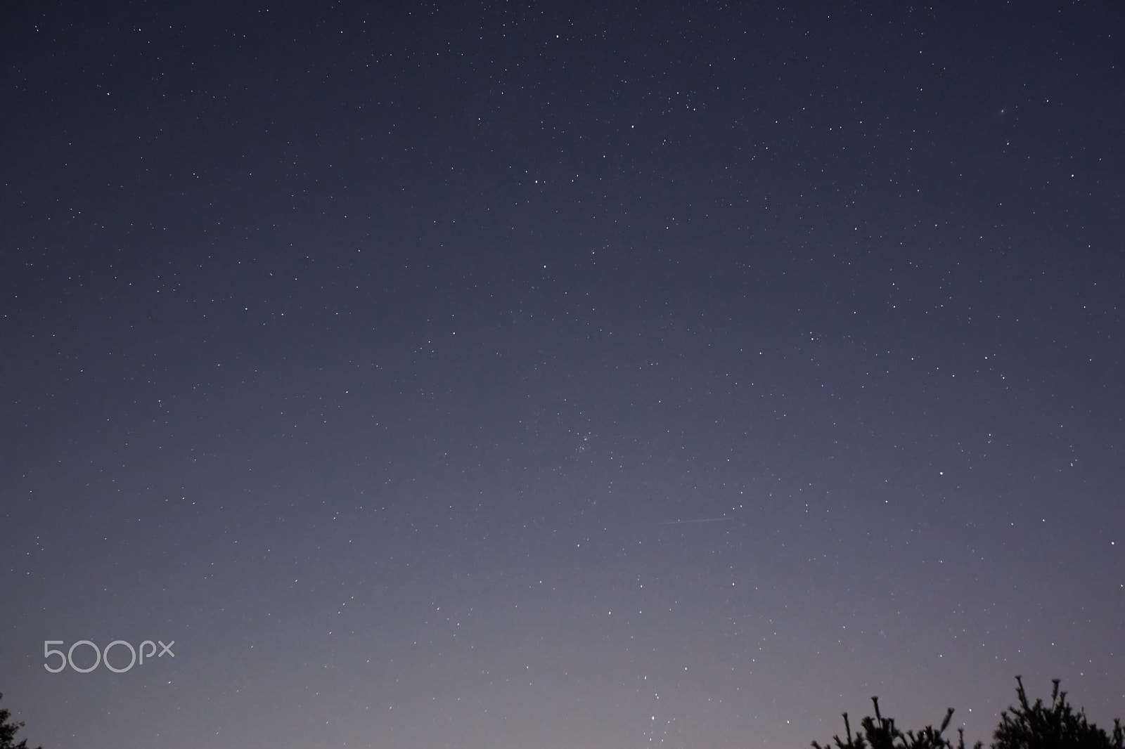 Sony FE 28mm F2 sample photo. Test photography