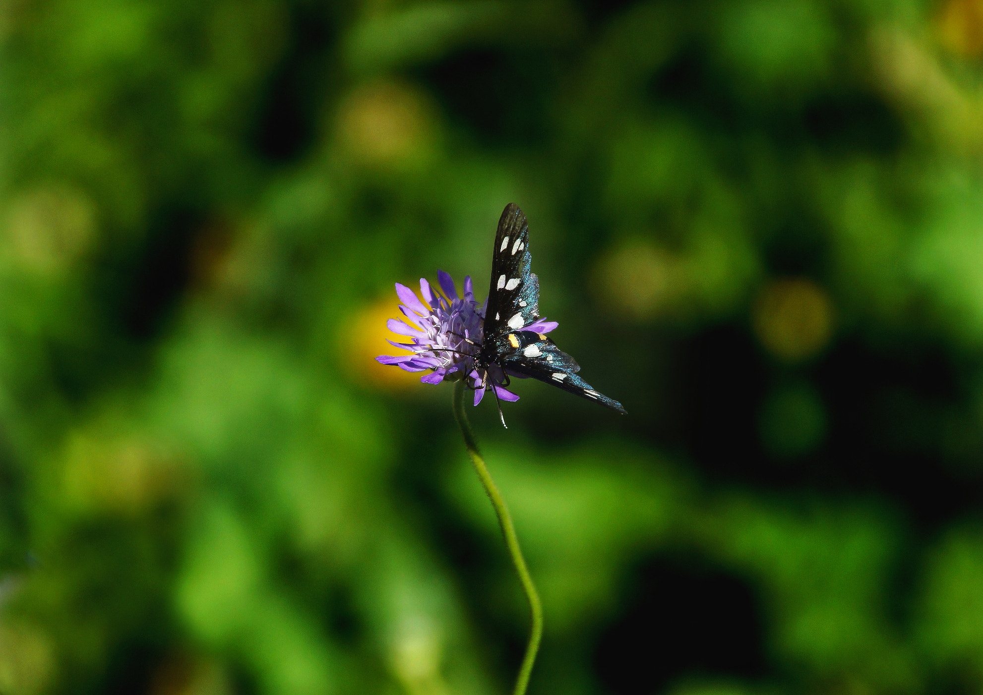 Tamron 18-270mm F3.5-6.3 Di II PZD sample photo. A new photography