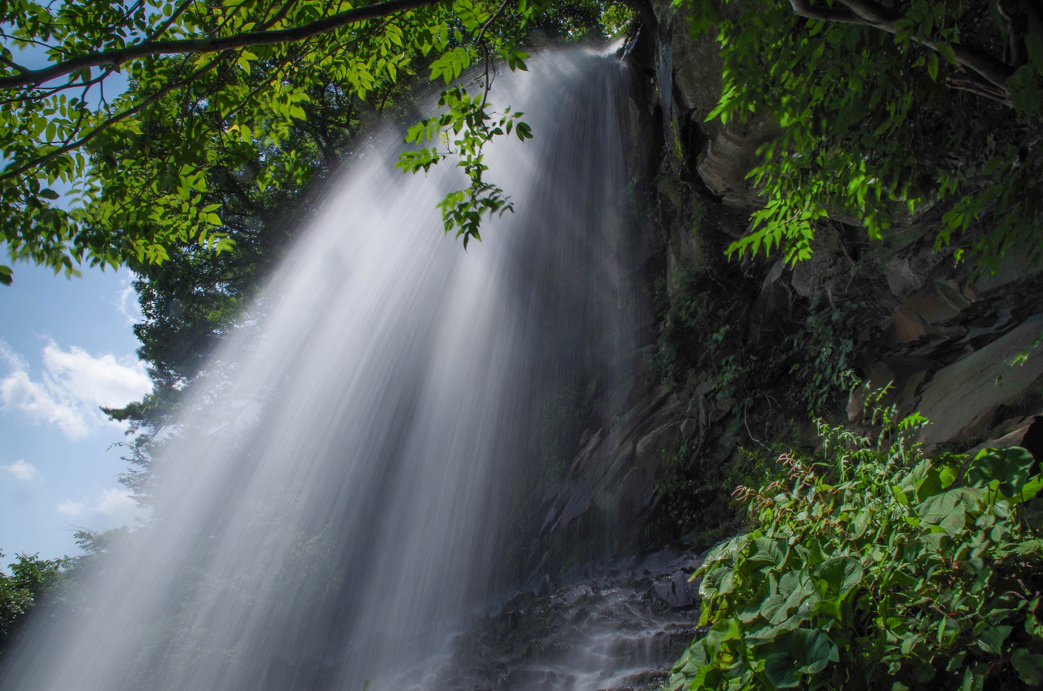 Pentax K-30 + Tamron AF 18-200mm F3.5-6.3 XR Di II LD Aspherical (IF) Macro sample photo. Smooth photography