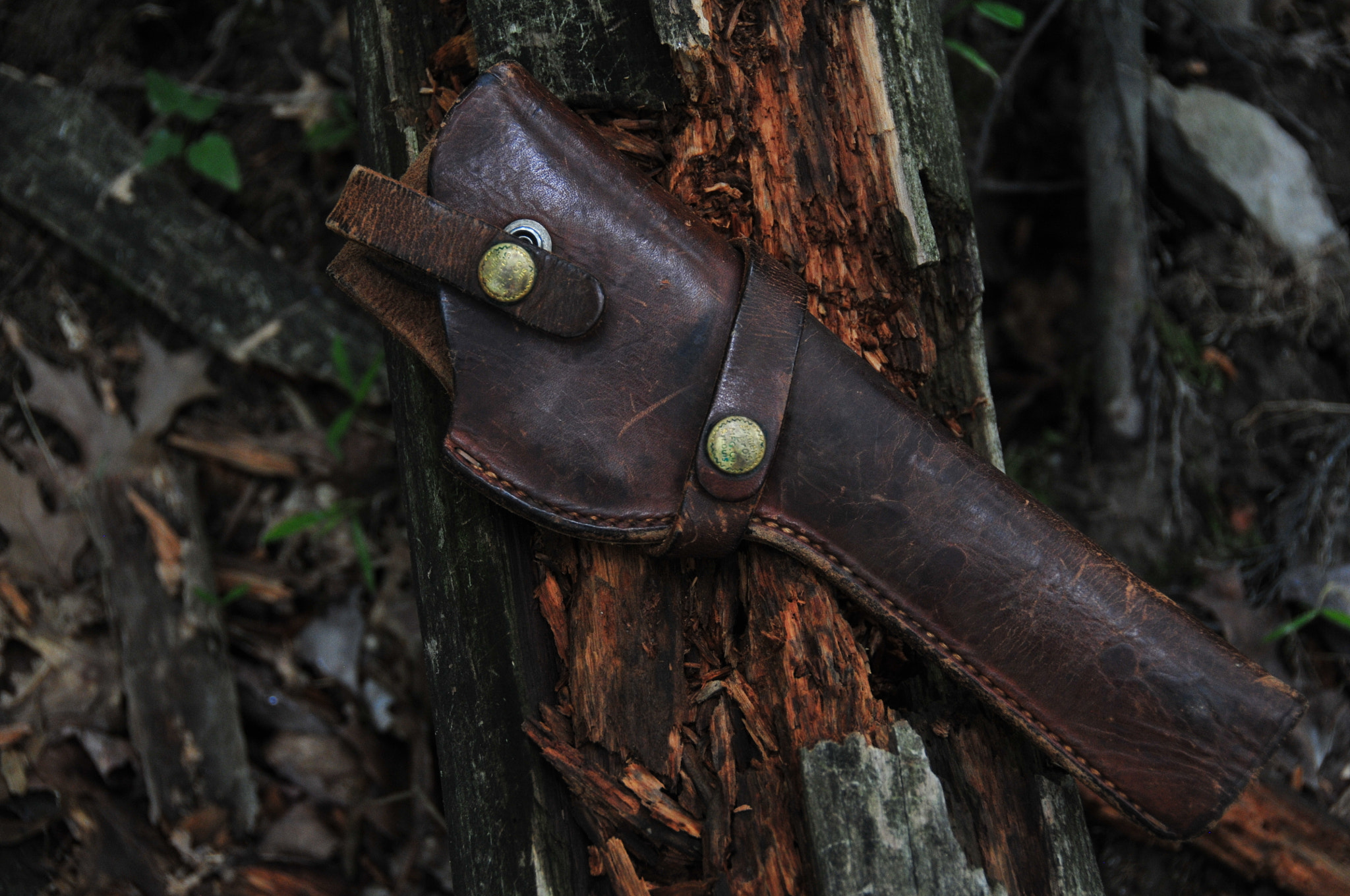 Nikon D300 sample photo. Empty leather photography