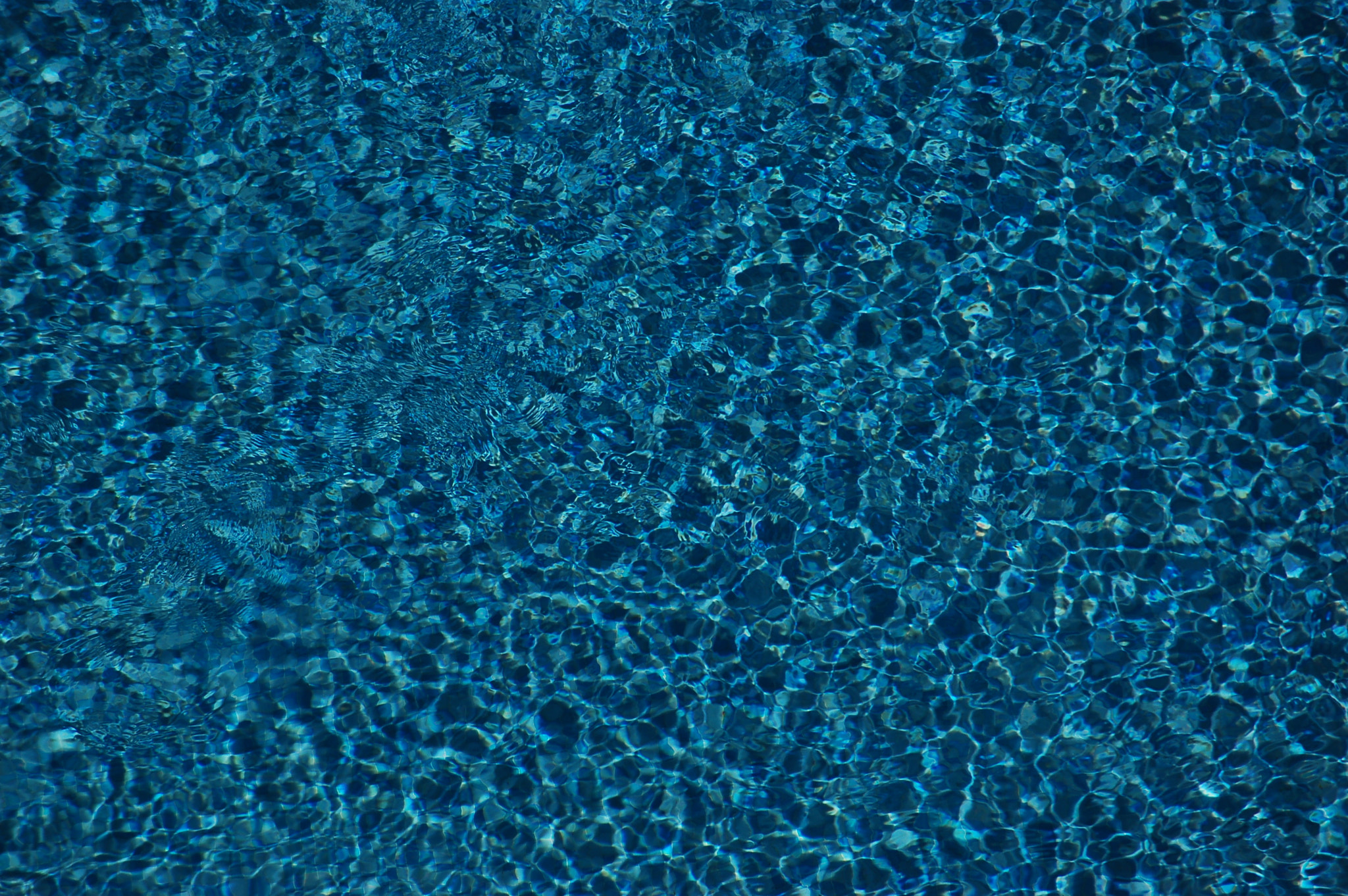 Nikon D50 sample photo. Klein?? no swimming pool photography