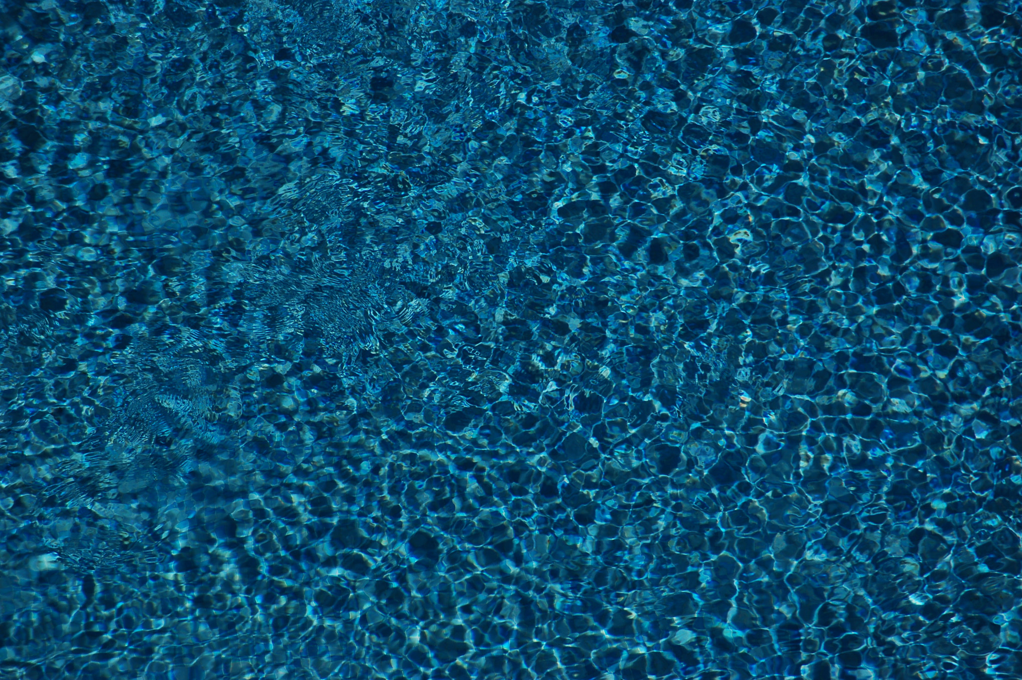 Nikon D50 sample photo. Klein?? no swimming pool photography