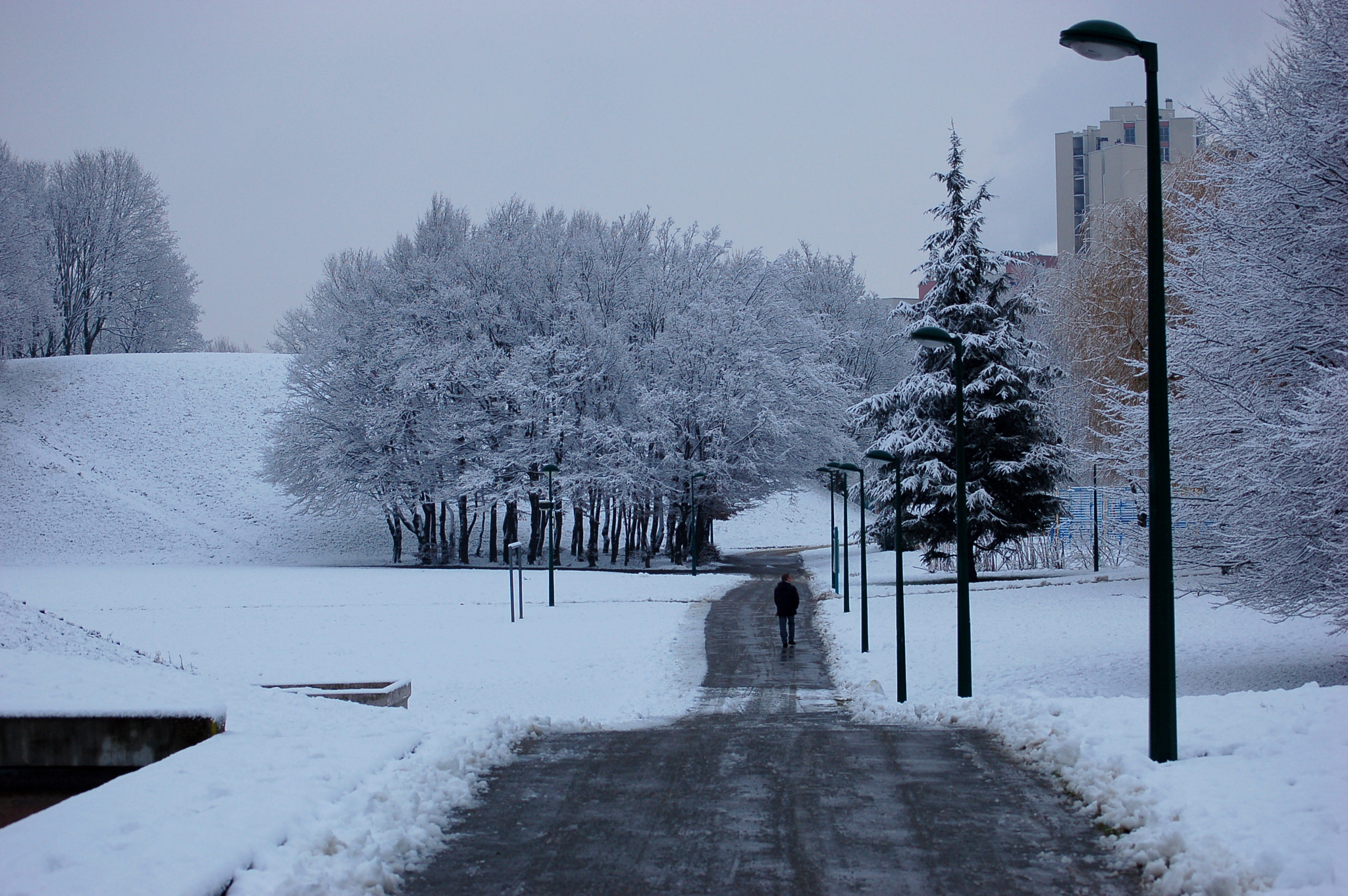 Nikon D50 sample photo. Snowy day photography