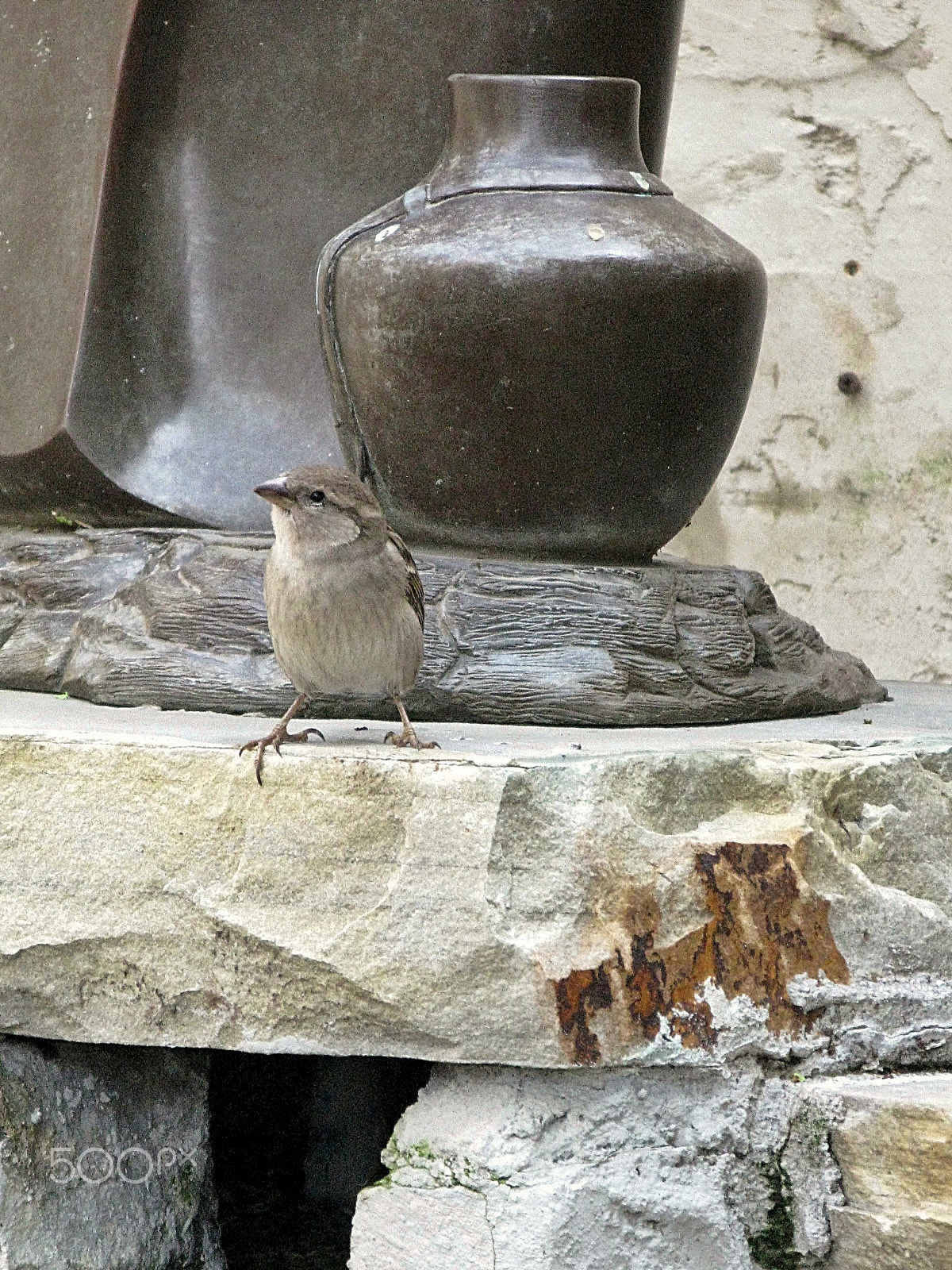 Canon POWERSHOT A650 IS sample photo. Birdandthestatue photography