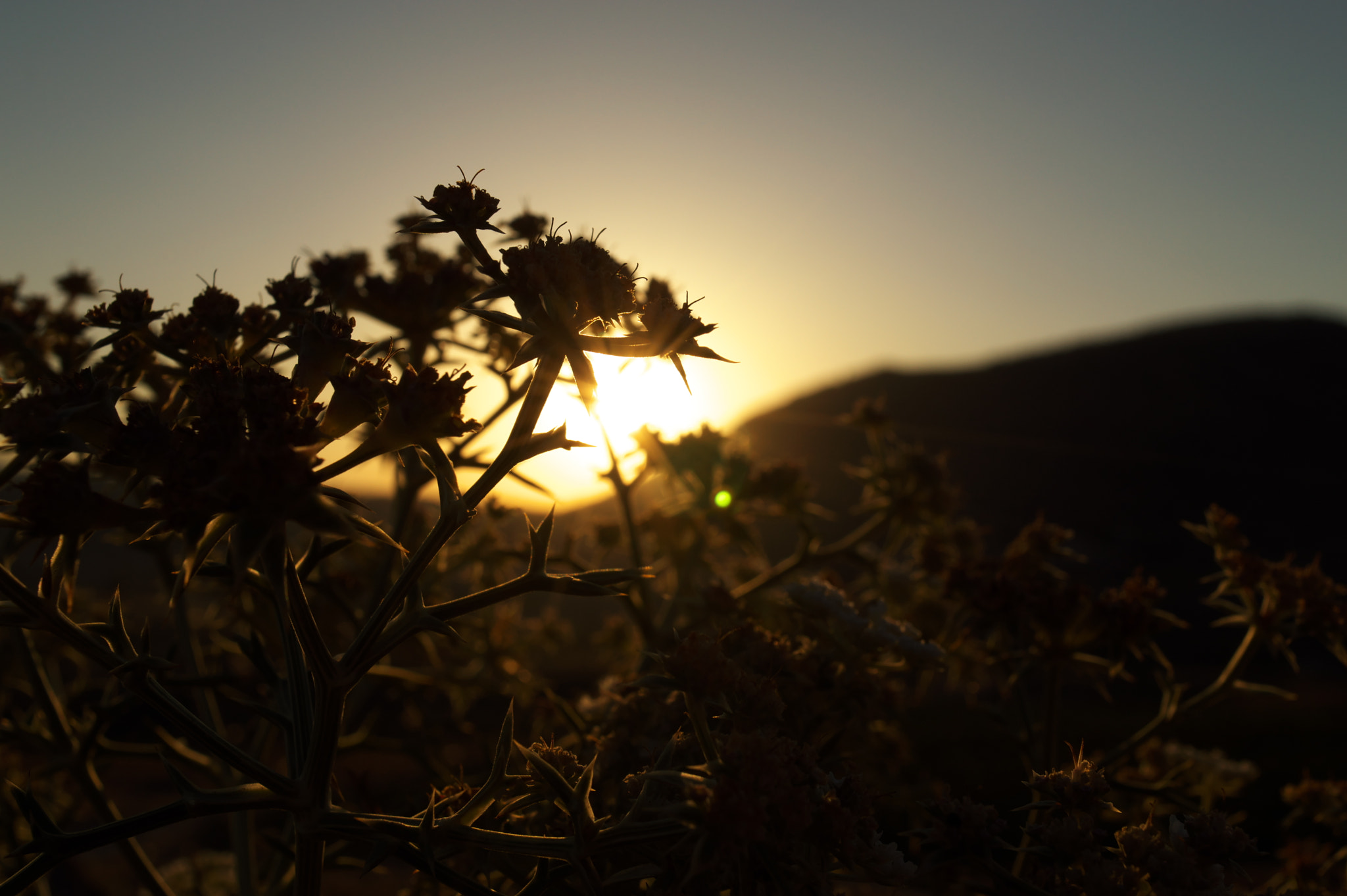 VR 18-55mm F/3.5-5.6 G sample photo. Sunset. photography