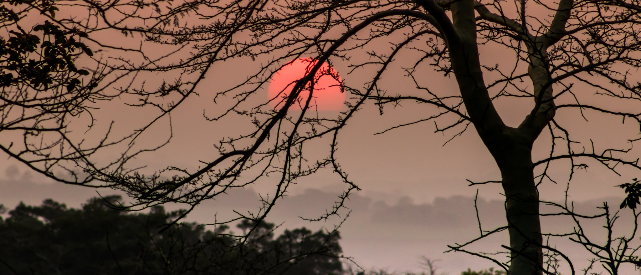 Canon EOS 750D (EOS Rebel T6i / EOS Kiss X8i) + EF75-300mm f/4-5.6 sample photo. Ballito sunset photography