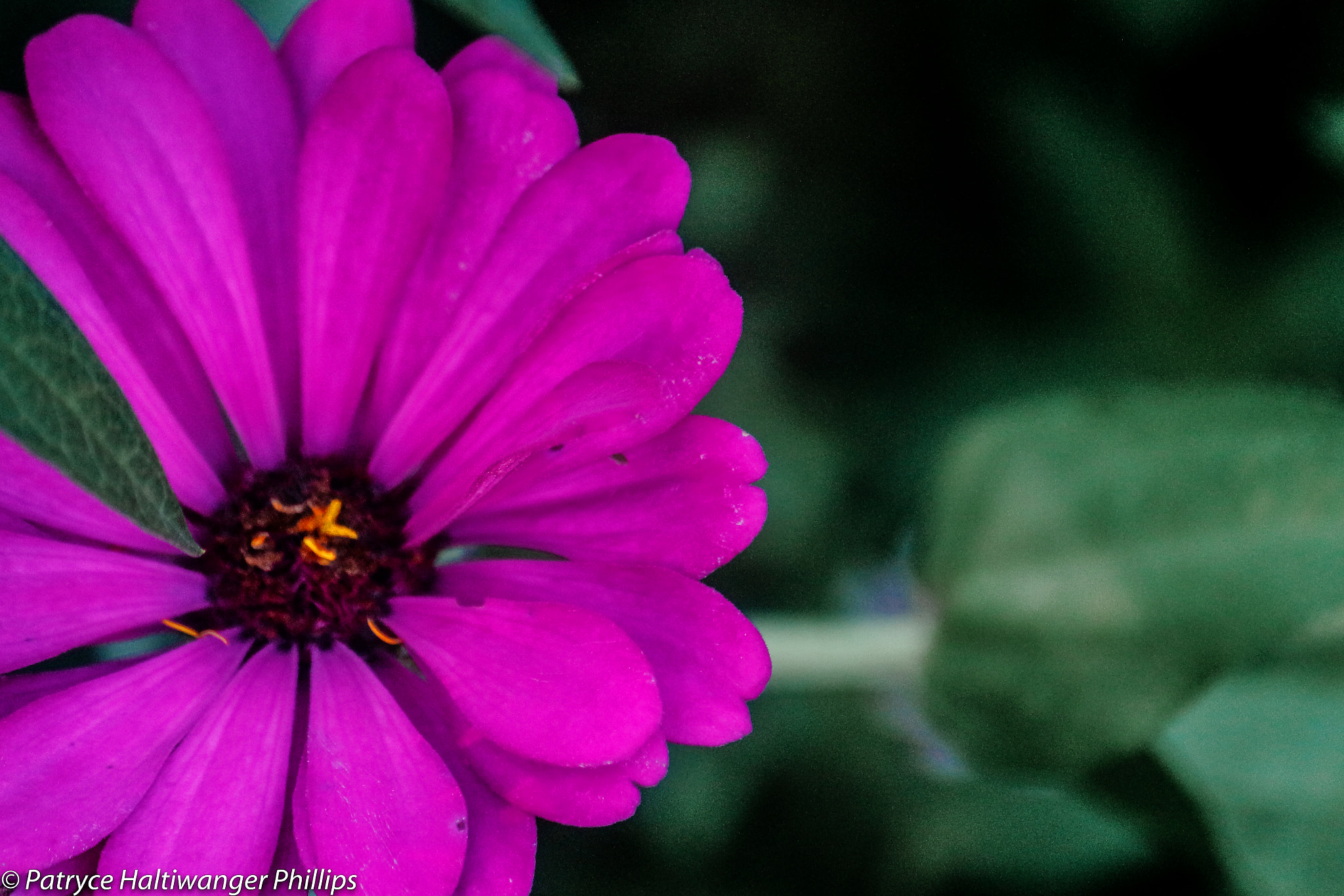 Canon EOS 100D (EOS Rebel SL1 / EOS Kiss X7) sample photo. “be the one to stand out in the crowd.” ― joel osteen photography
