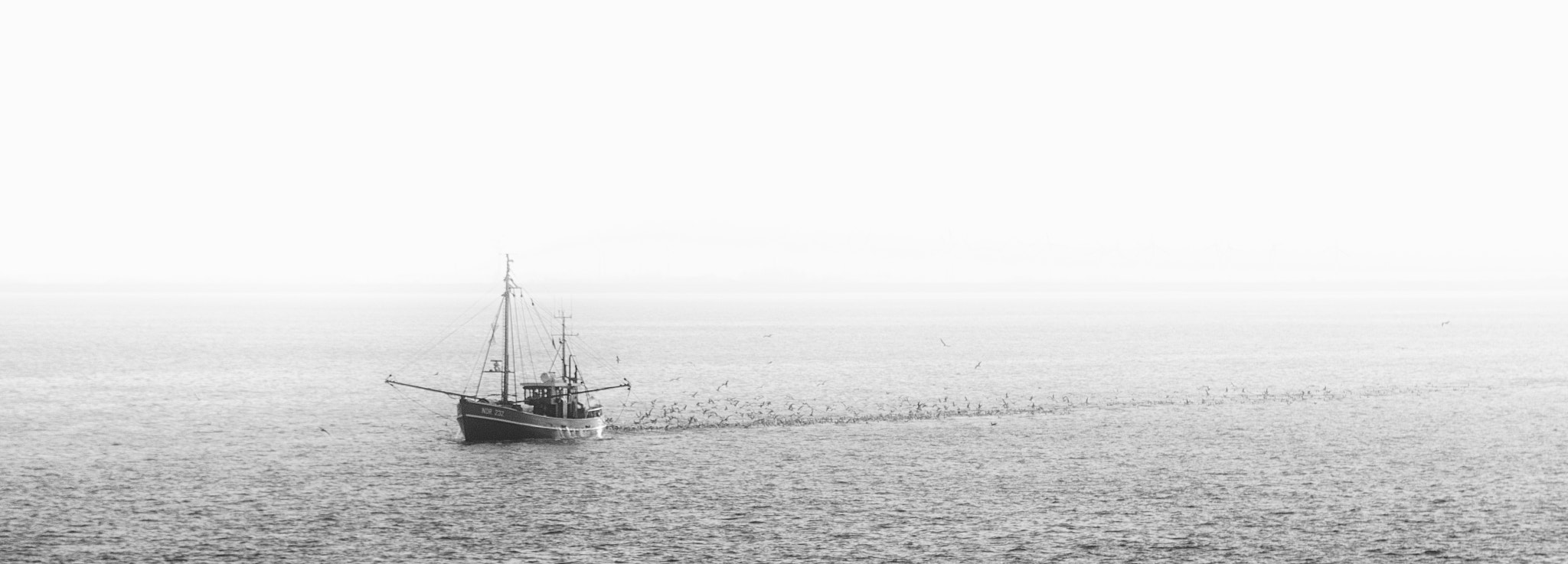 Sigma 17-70mm F2.8-4 DC Macro OS HSM | C sample photo. Trail of seagulls photography