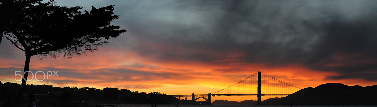 Nikon D5000 sample photo. Wide golden gate sunset with clouds photography
