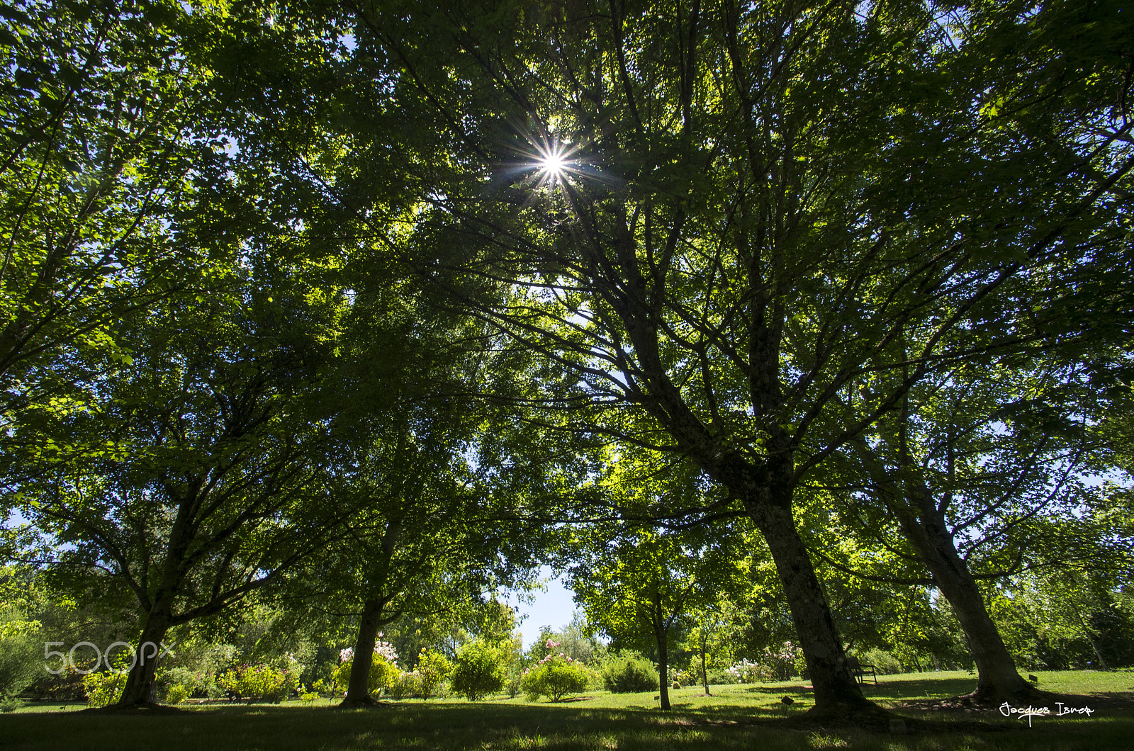 Pentax K-5 sample photo. Zen photography