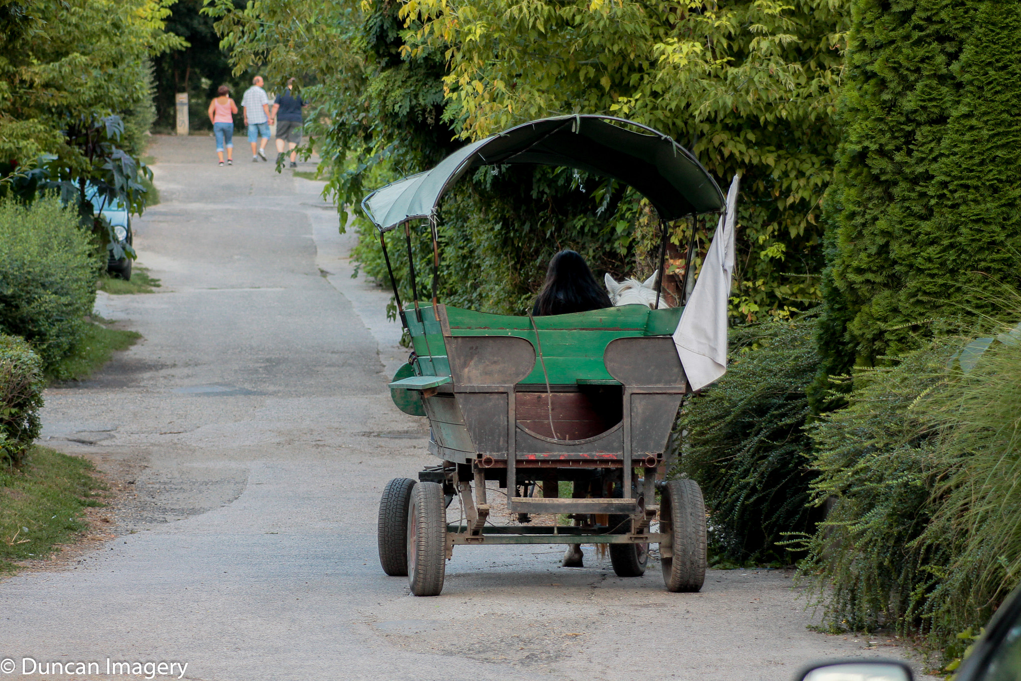 Canon EF 80-200mm F4.5-5.6 II sample photo. Waiting photography