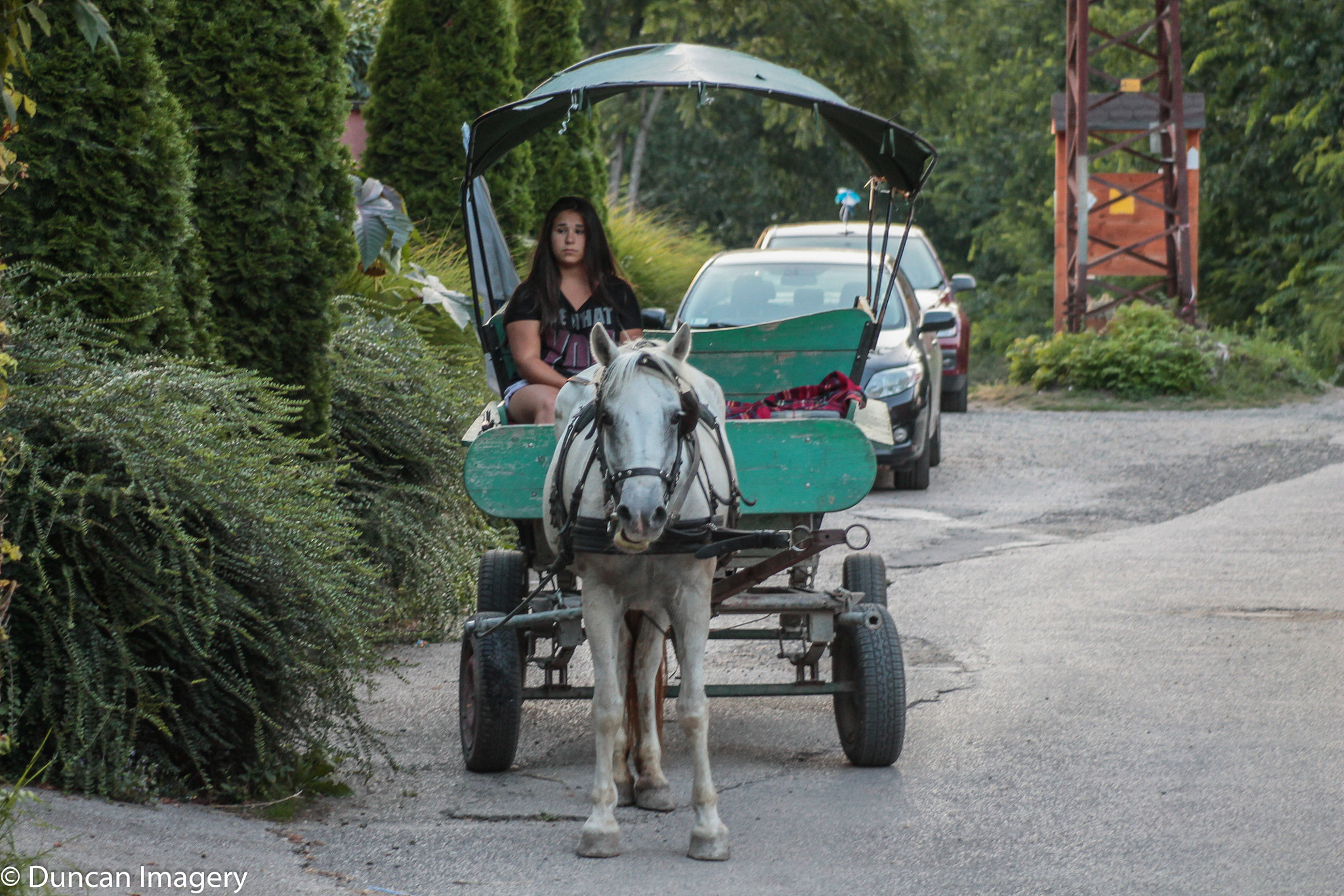 Canon EF 80-200mm F4.5-5.6 II sample photo. Horse-drawn carriage photography