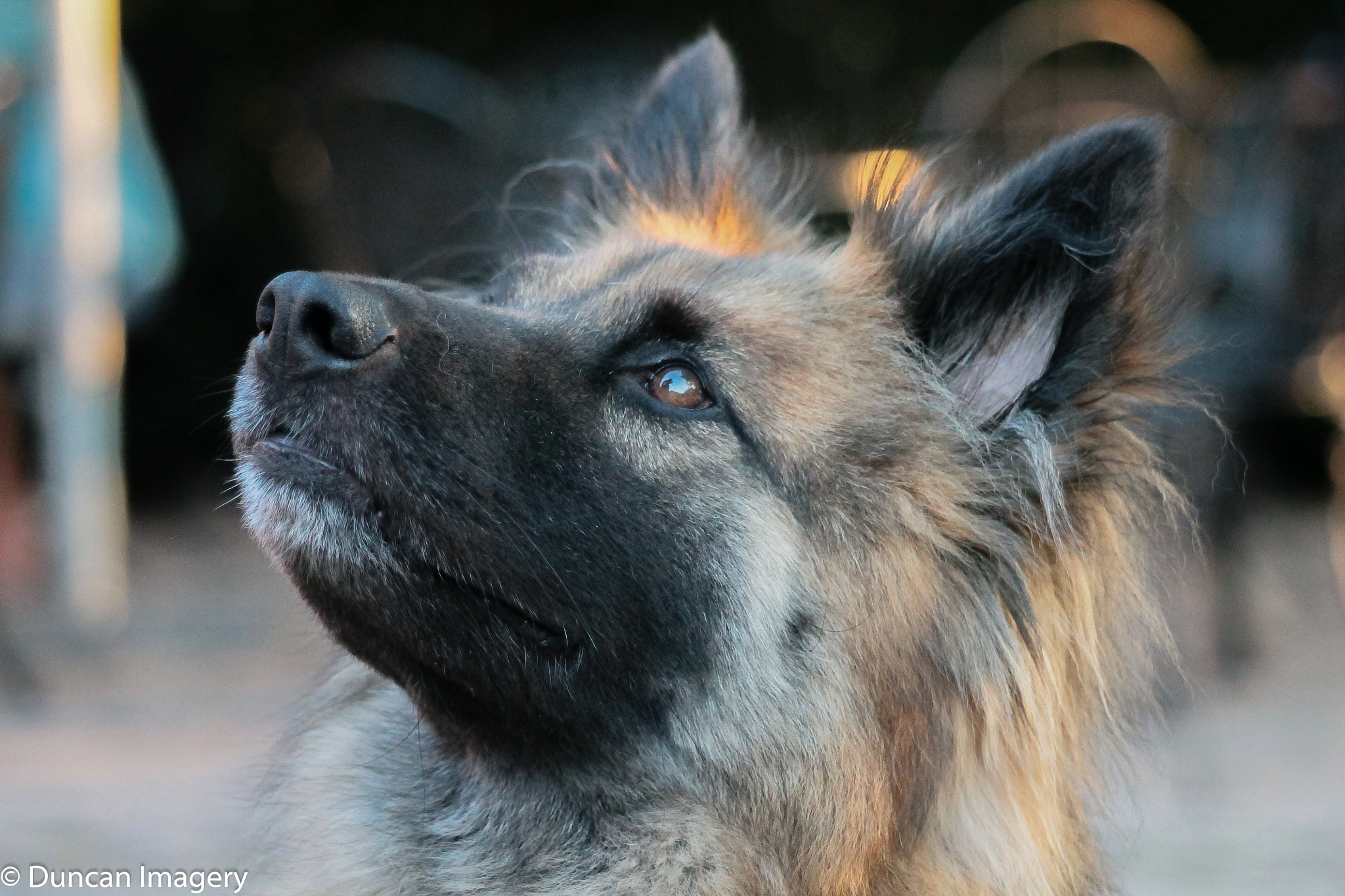 Canon EF 80-200mm F4.5-5.6 II sample photo. I look to you photography