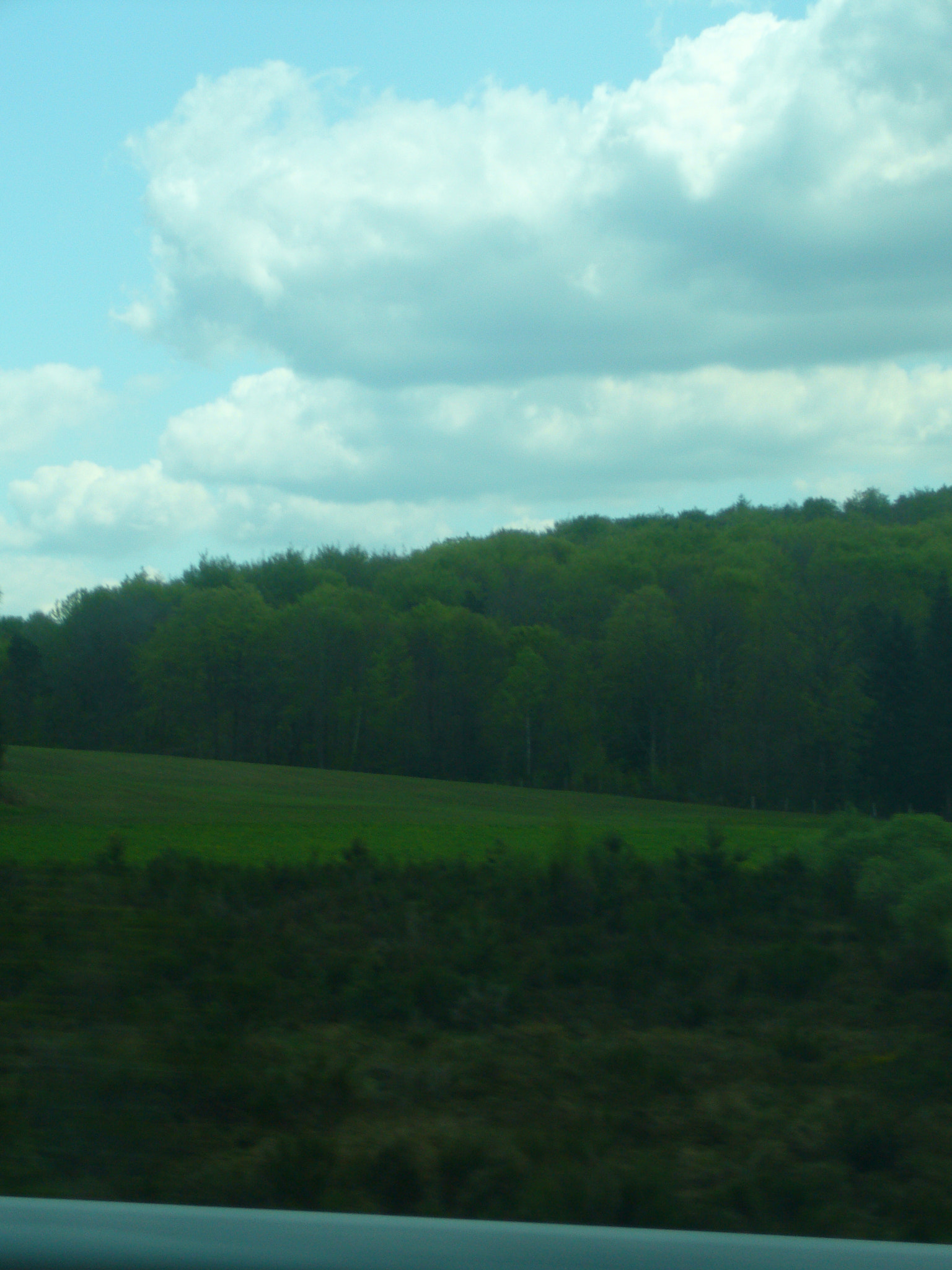 Panasonic DMC-FX9 sample photo. Green driving  to puy de dome photography