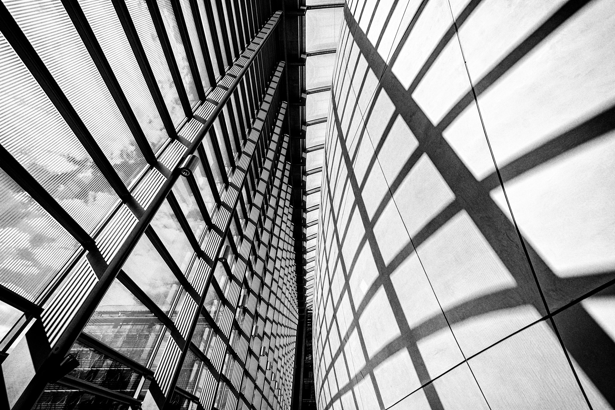 Nikon D3 sample photo. Frame photography